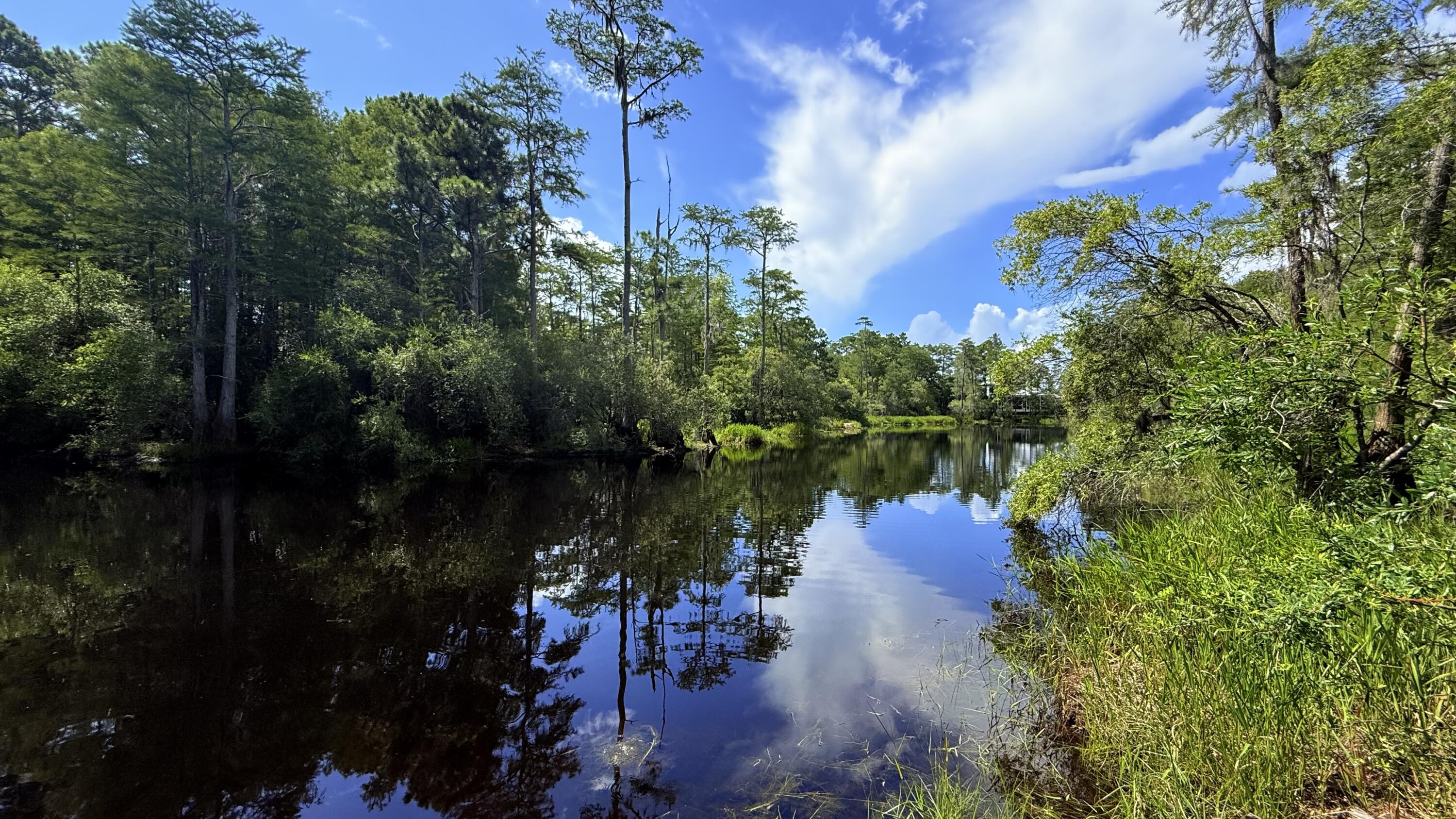 Tbd Lot 8 Gulf Hills Drive Santa Rosa Beach FL 32459