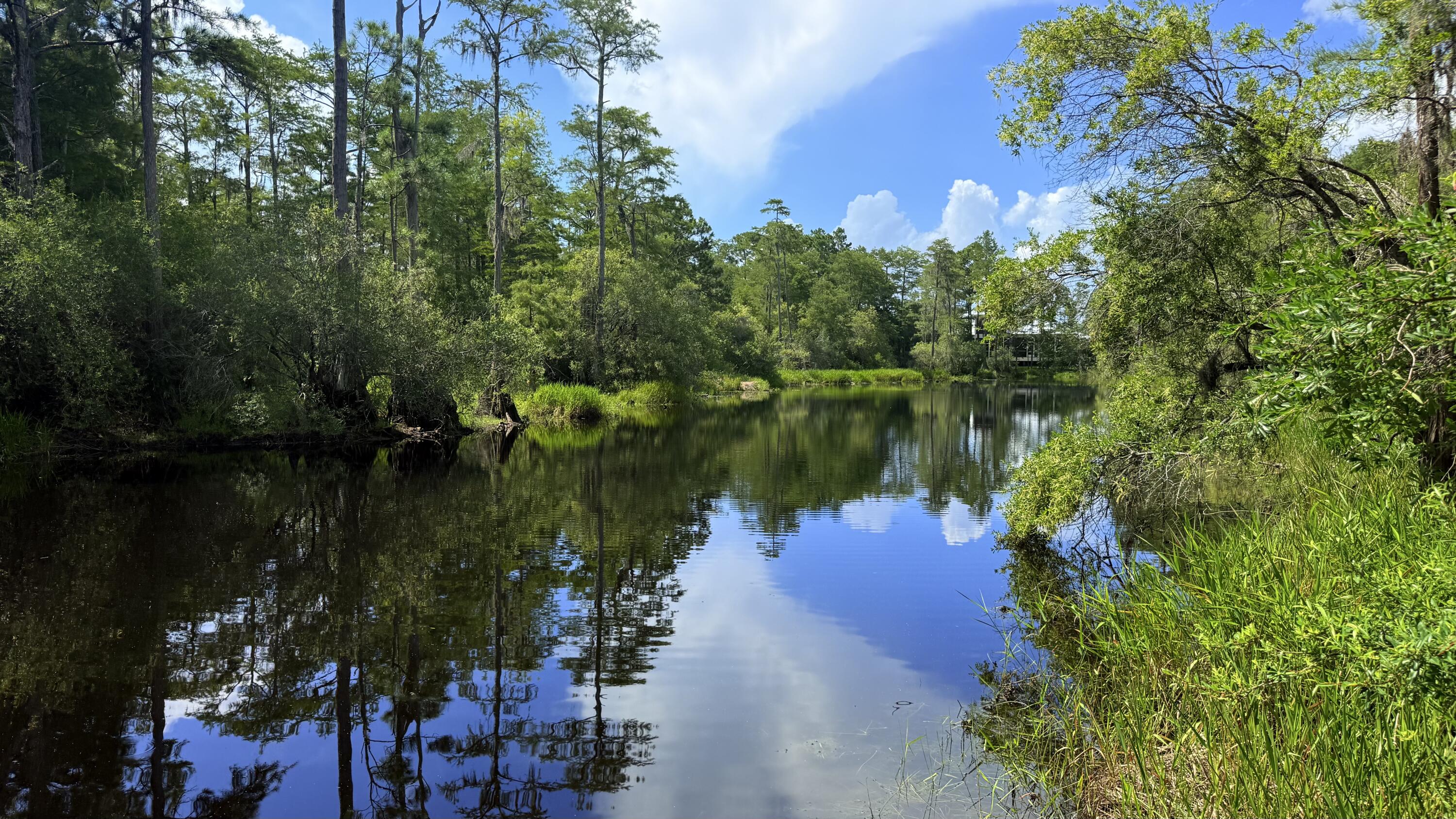 Tbd Lot 8 Gulf Hills Drive Santa Rosa Beach FL 32459