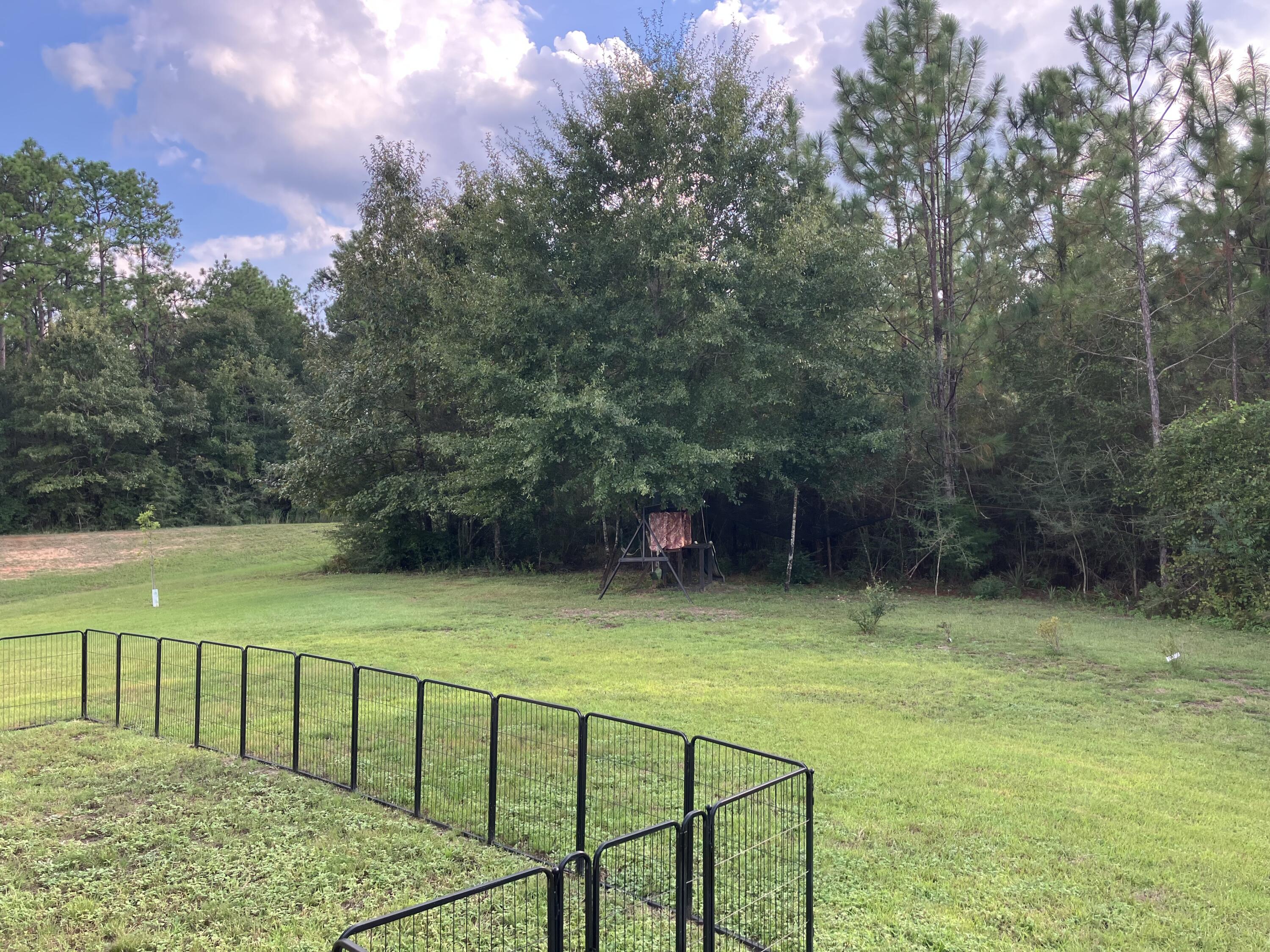 3066 Brandon Dunes Lane Laurel Hill FL 32567