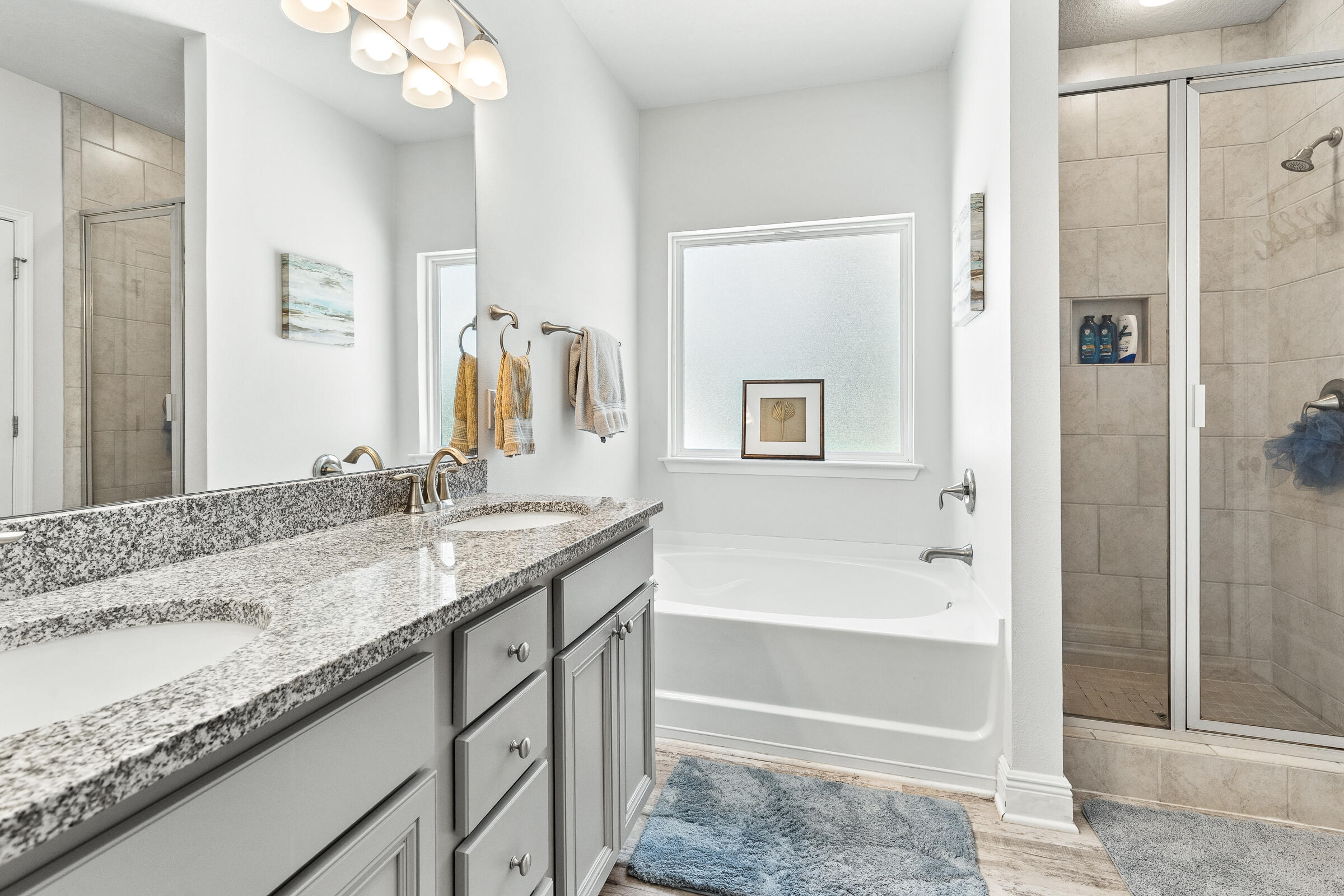 227 Stonegate Drive Santa Rosa Beach FL 32459
