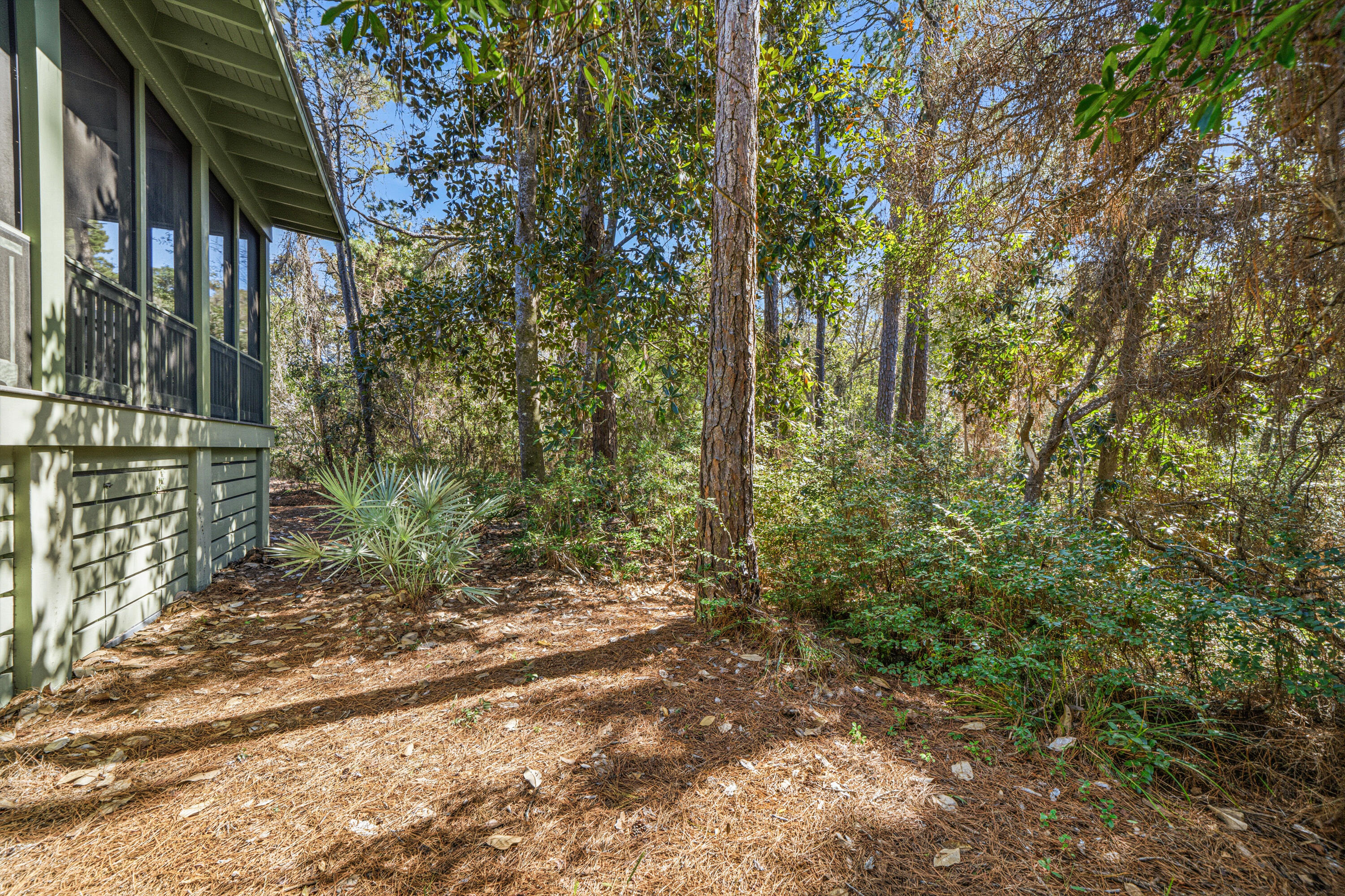 131 Hammock Lane Santa Rosa Beach FL 32459