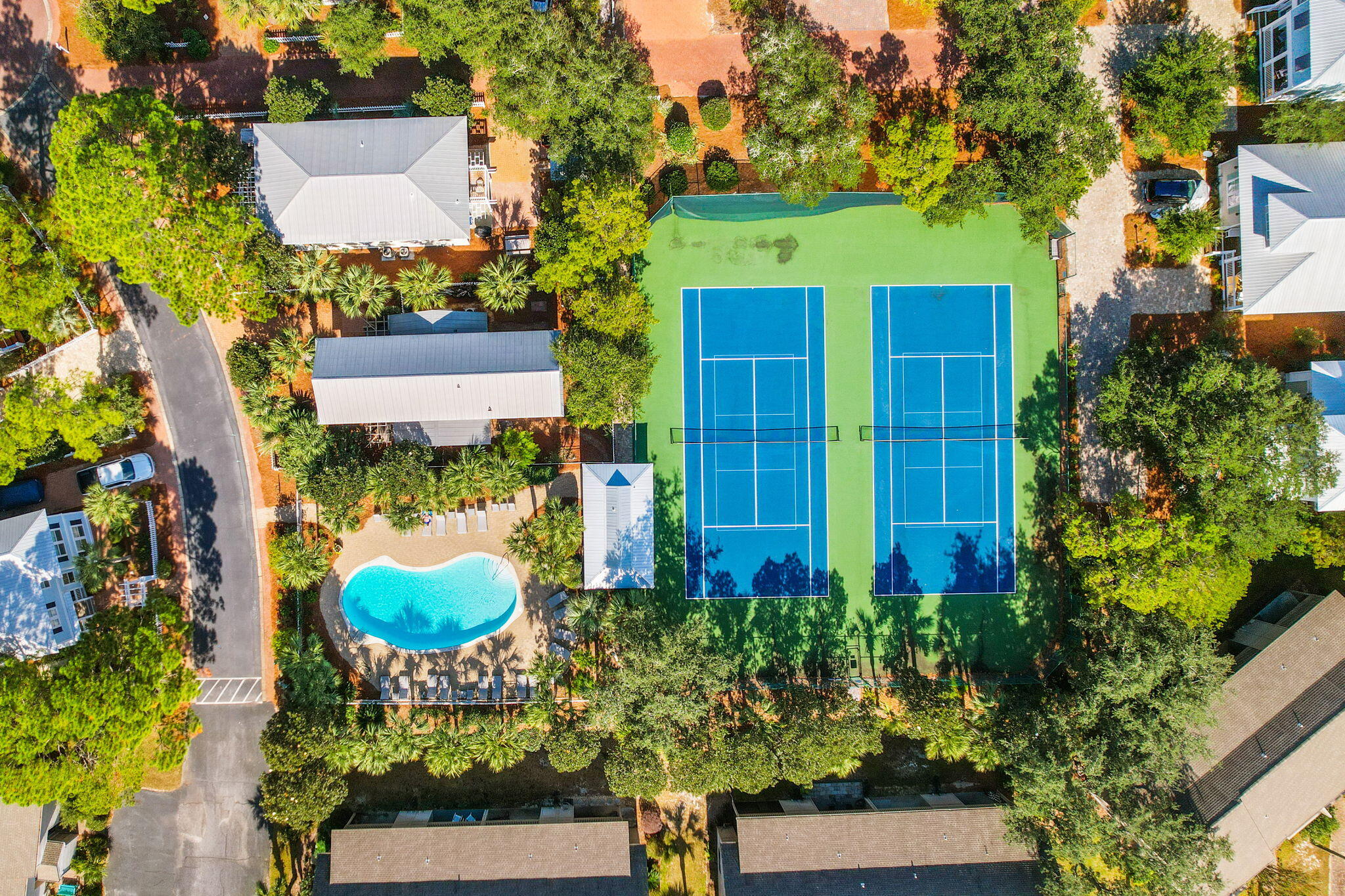 39 Dune Rosemary Court Santa Rosa Beach FL 32459