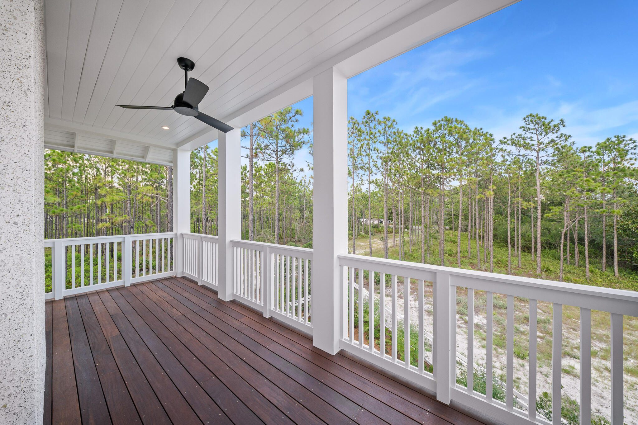 202 Climbing Rose Way Santa Rosa Beach FL 32459