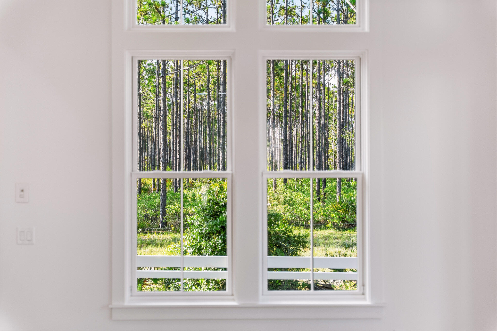 202 Climbing Rose Way Santa Rosa Beach FL 32459