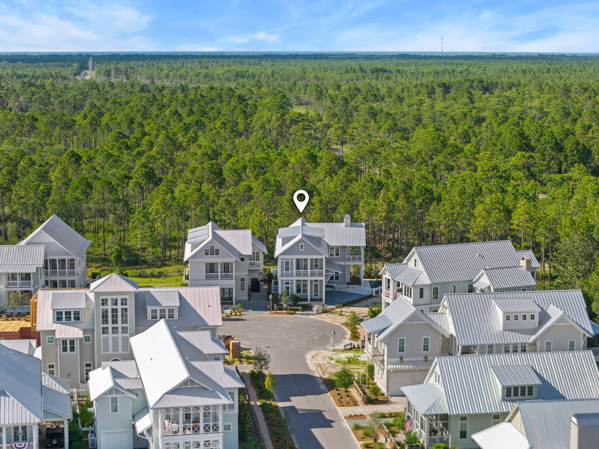 202 Climbing Rose Way Santa Rosa Beach FL 32459