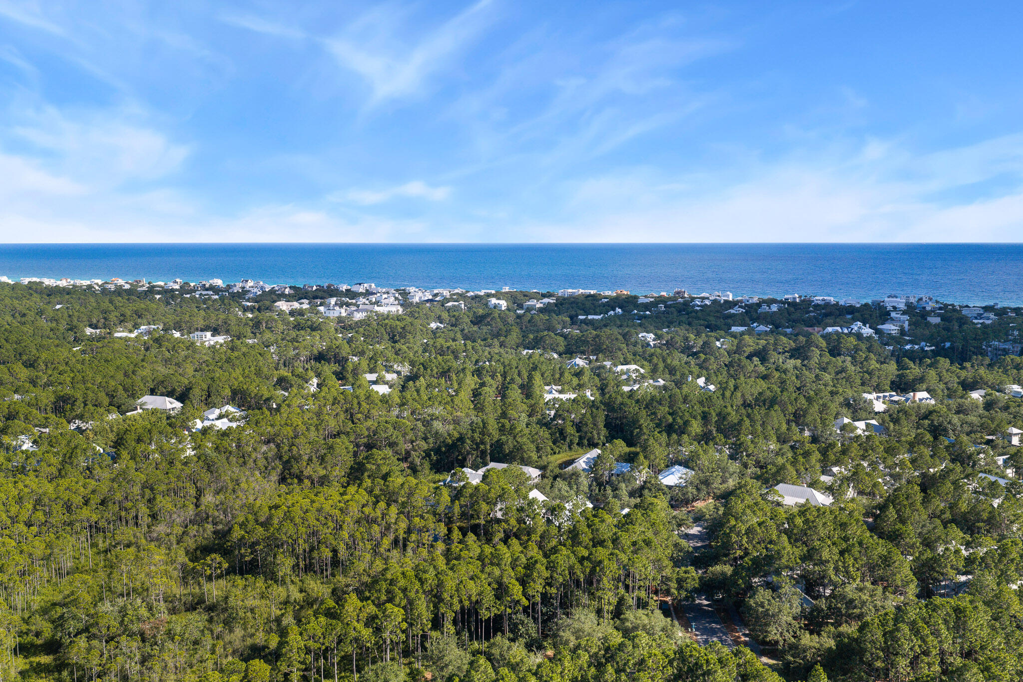 202 Climbing Rose Way Santa Rosa Beach FL 32459