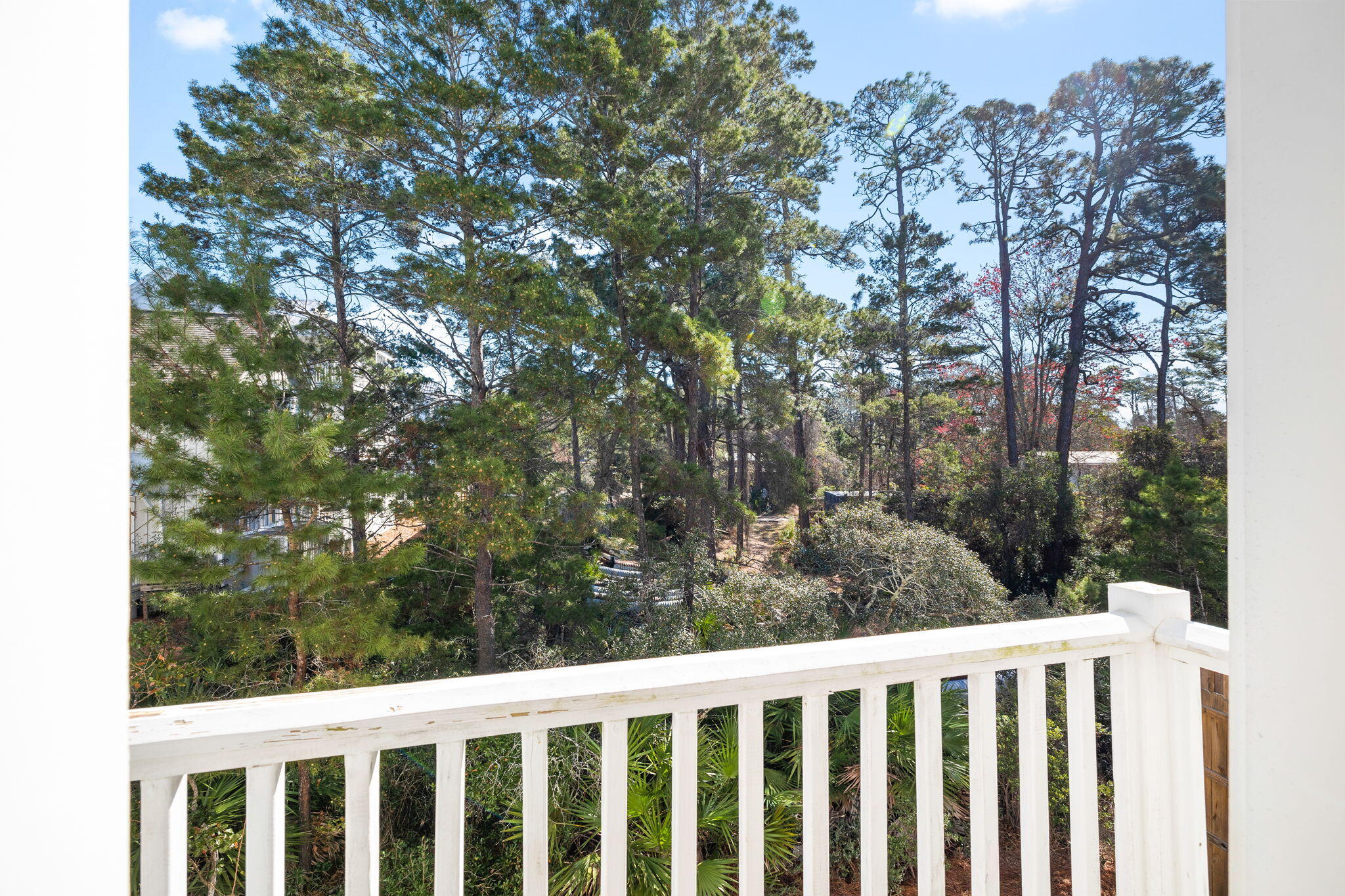 62 Charming Way Santa Rosa Beach FL 32459