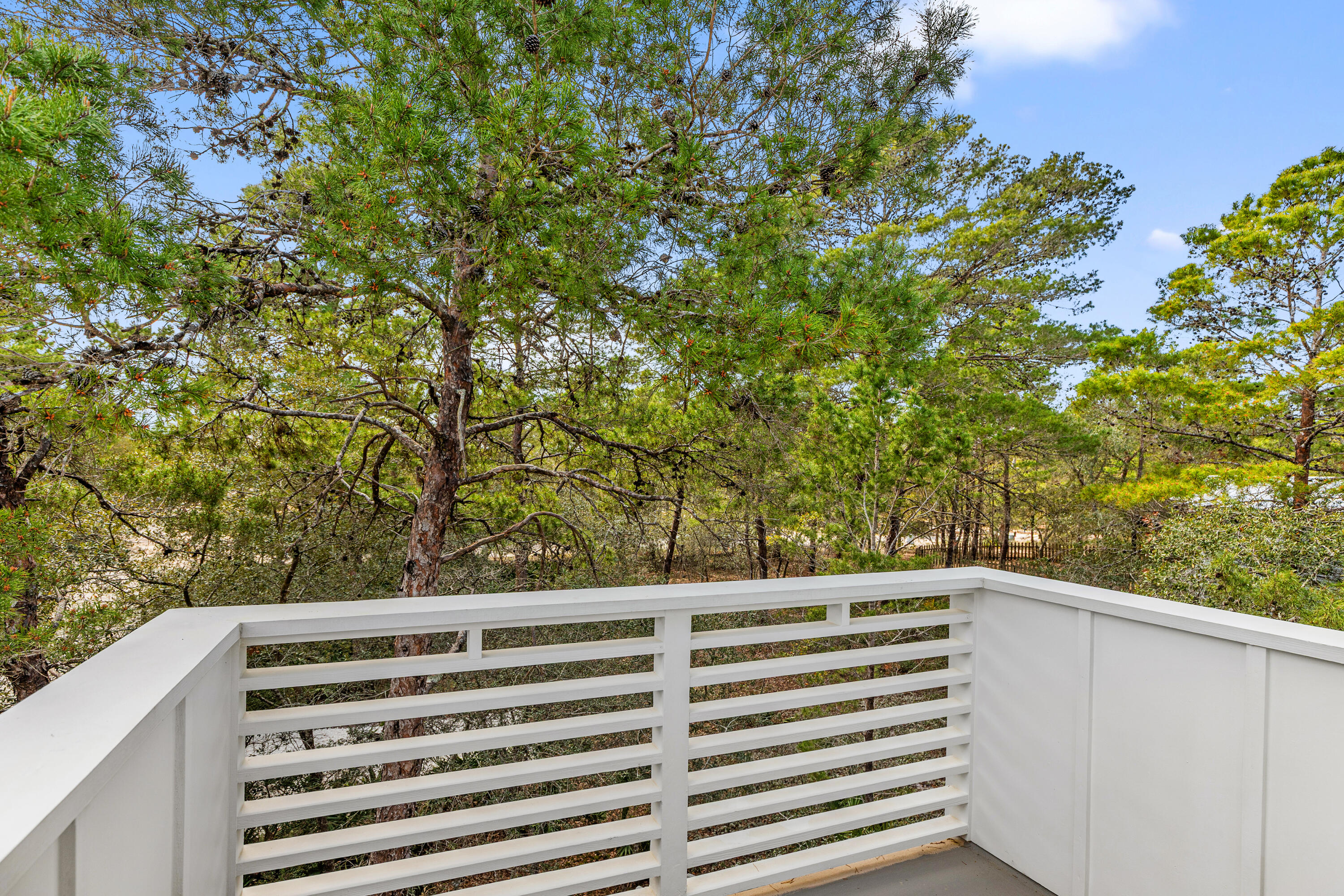 69 Blue Wave Drive Santa Rosa Beach FL 32459
