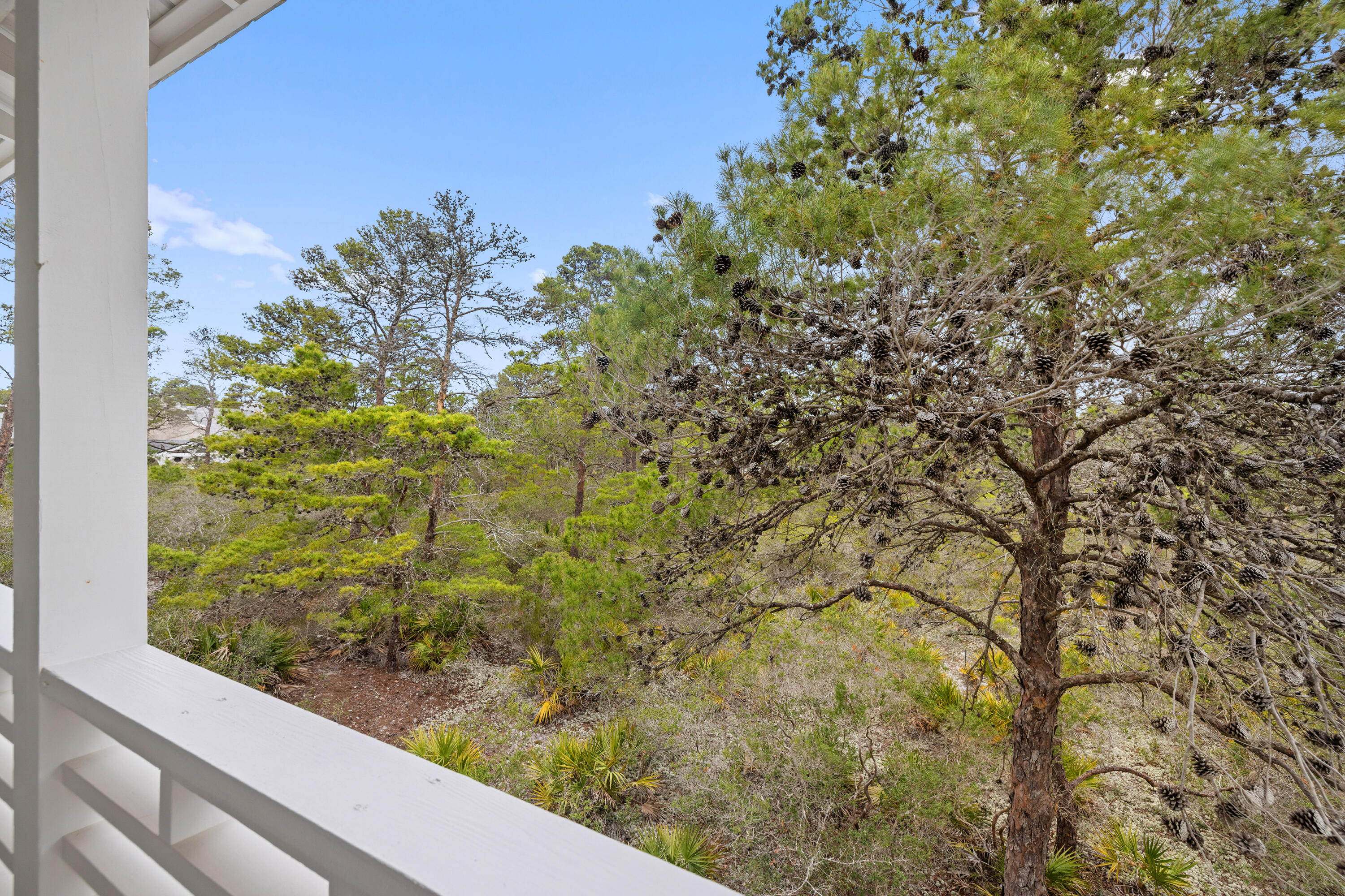 69 Blue Wave Drive Santa Rosa Beach FL 32459