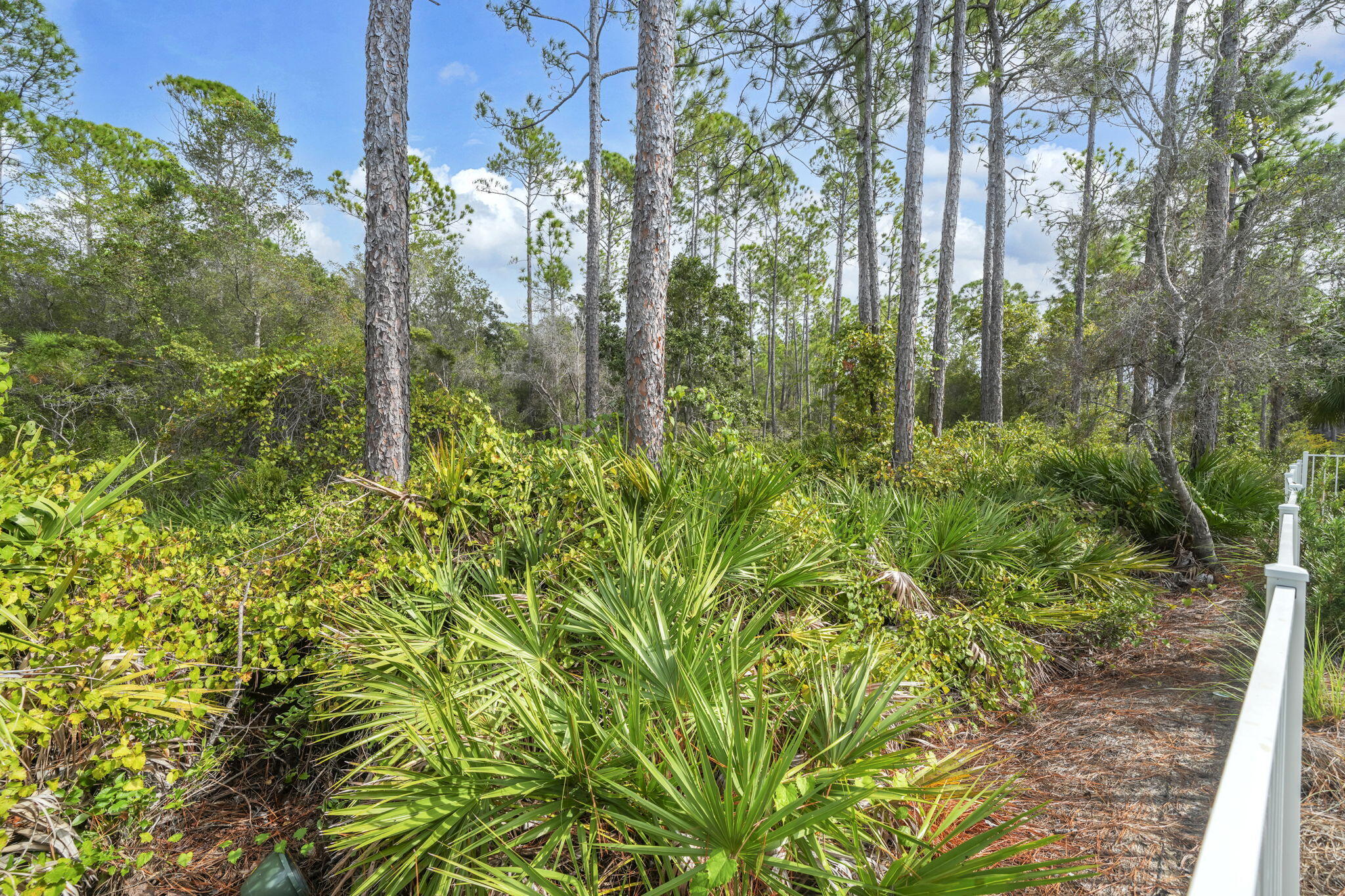 70 Prairie Pass Santa Rosa Beach FL 32459