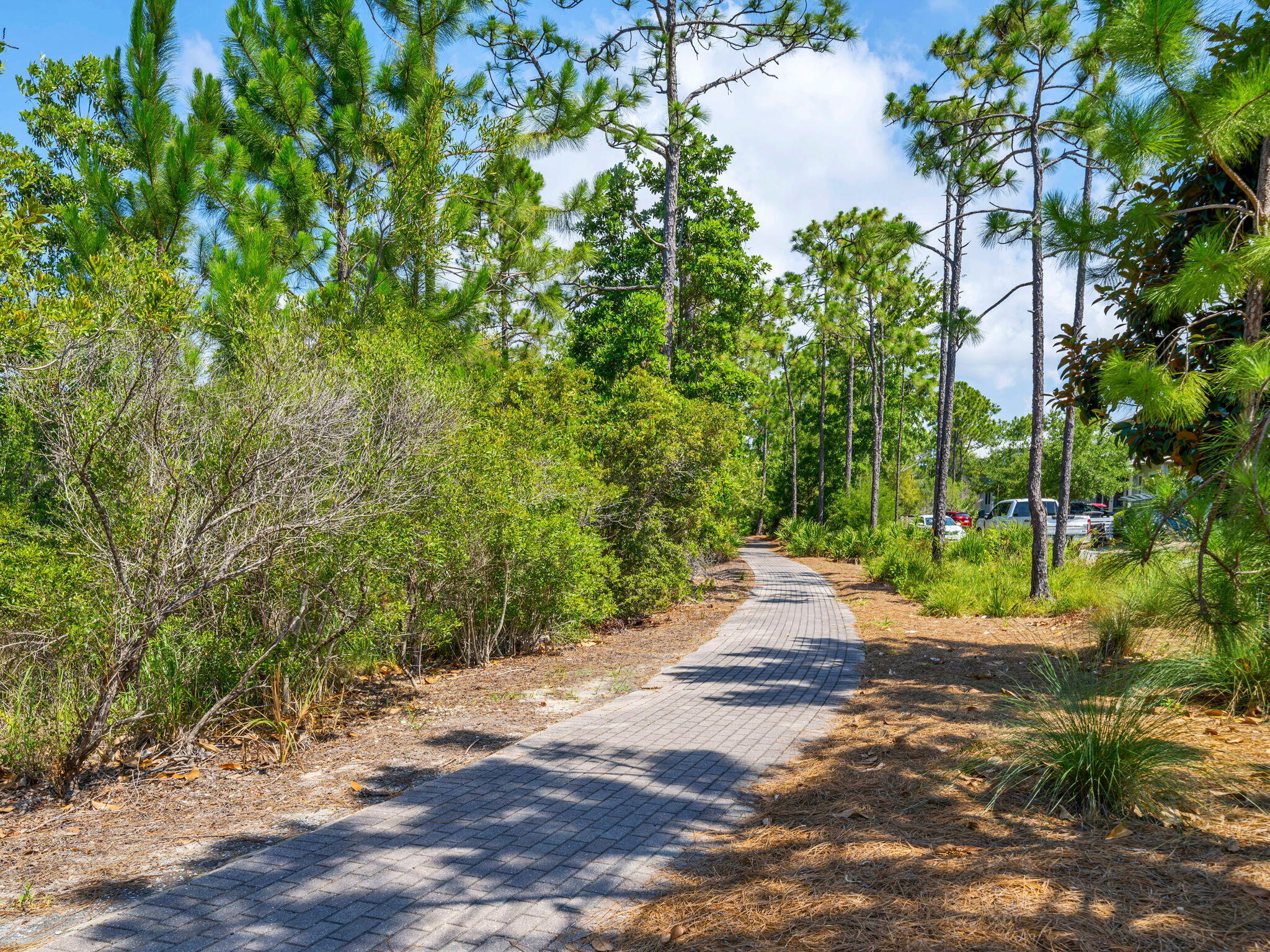 70 Prairie Pass Santa Rosa Beach FL 32459