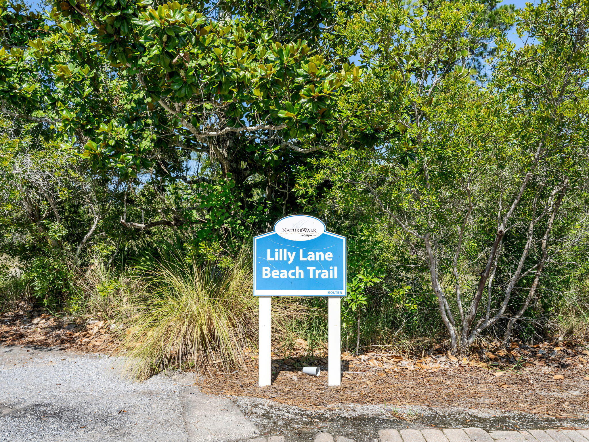 70 Prairie Pass Santa Rosa Beach FL 32459