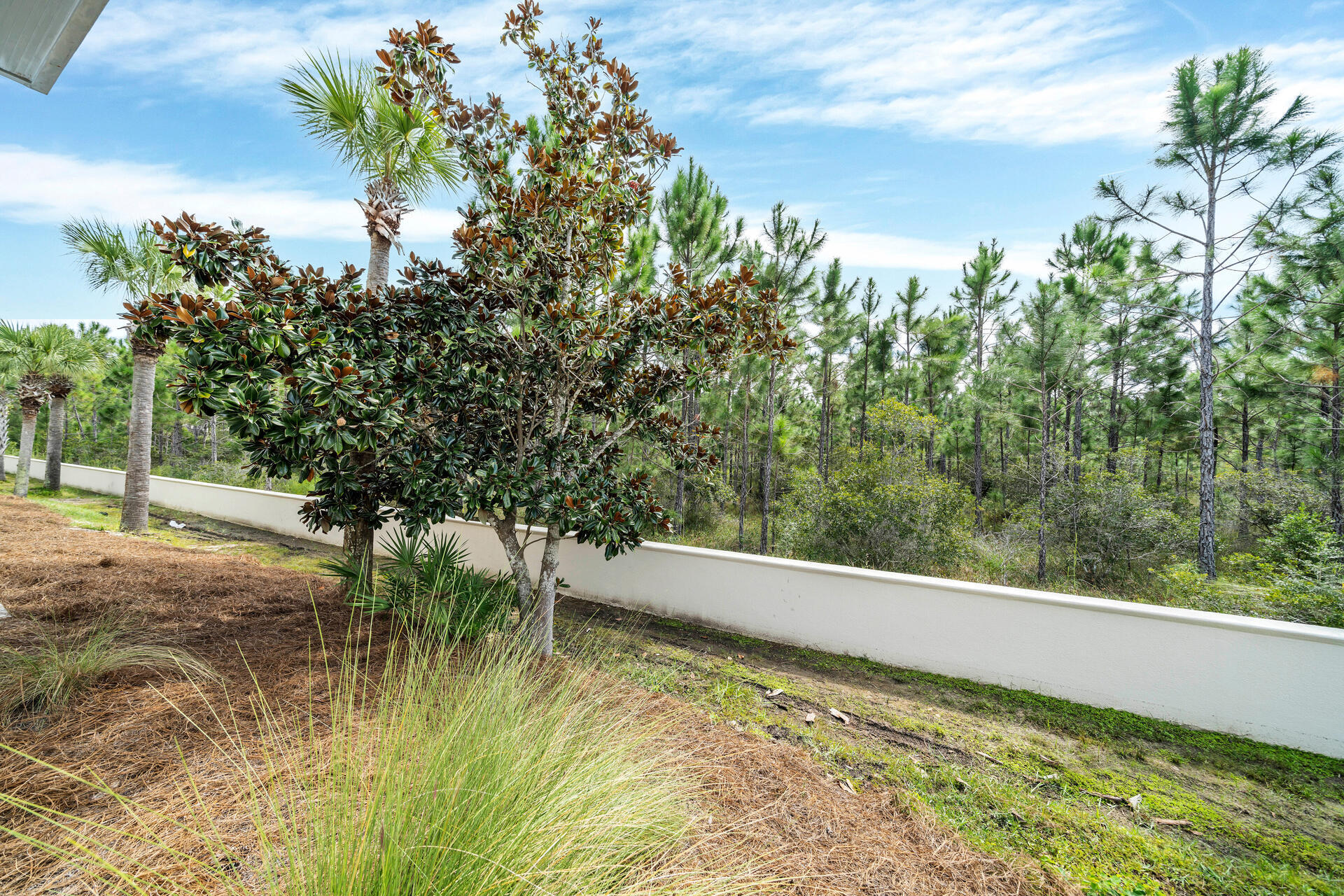 133 Cypress Passage Santa Rosa Beach FL 32459