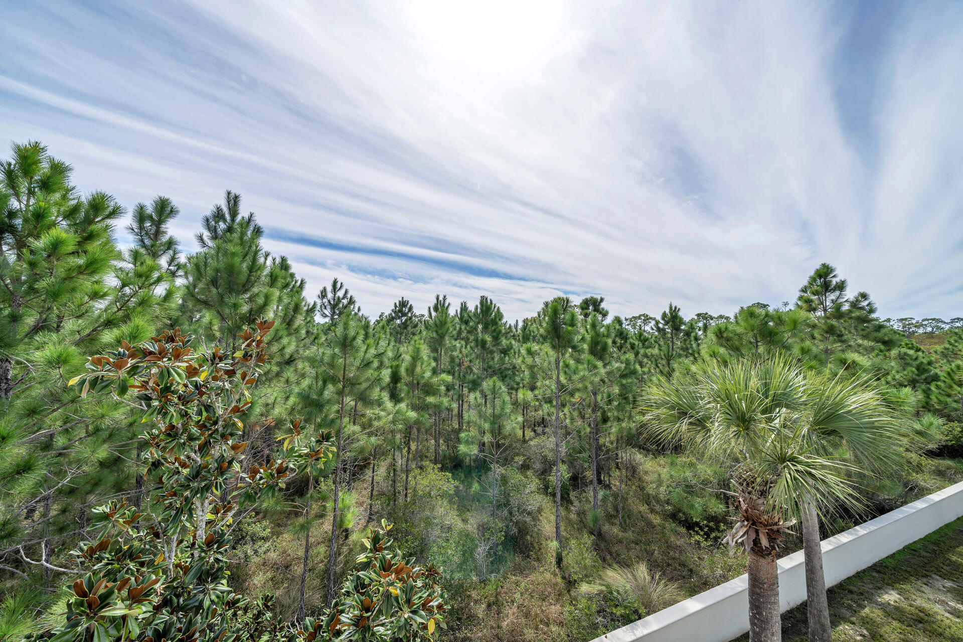 133 Cypress Passage Santa Rosa Beach FL 32459