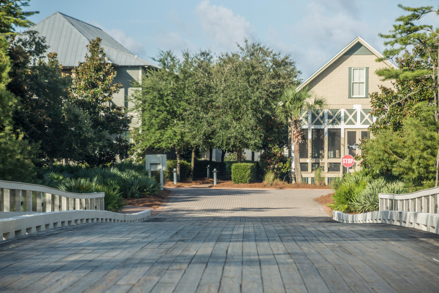 133 Cypress Passage Santa Rosa Beach FL 32459