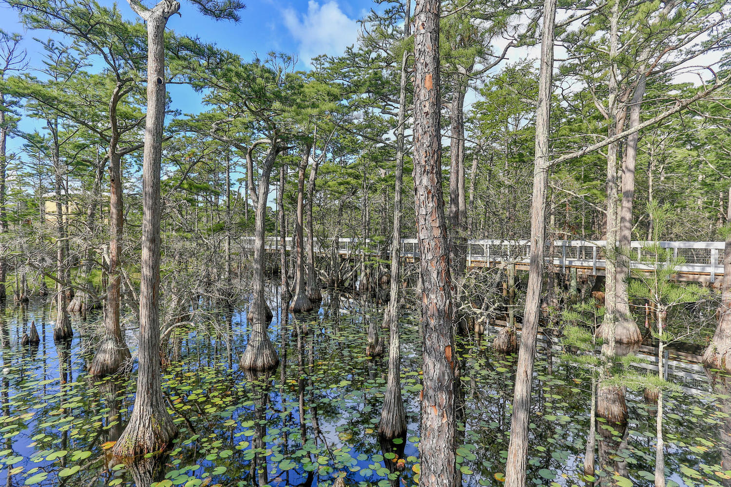 133 Cypress Passage Santa Rosa Beach FL 32459