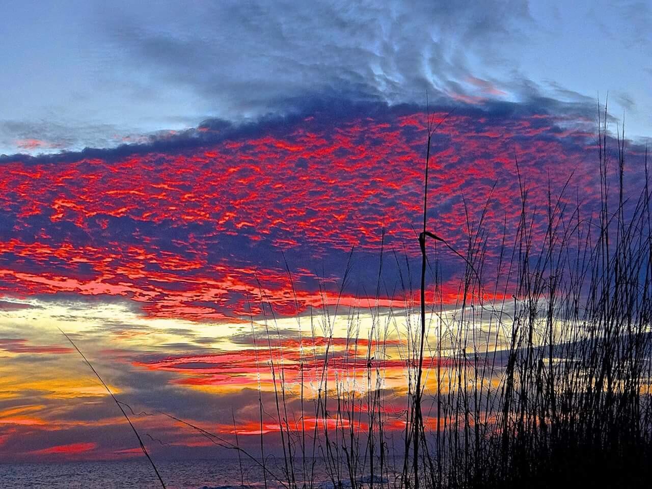 133 Cypress Passage Santa Rosa Beach FL 32459