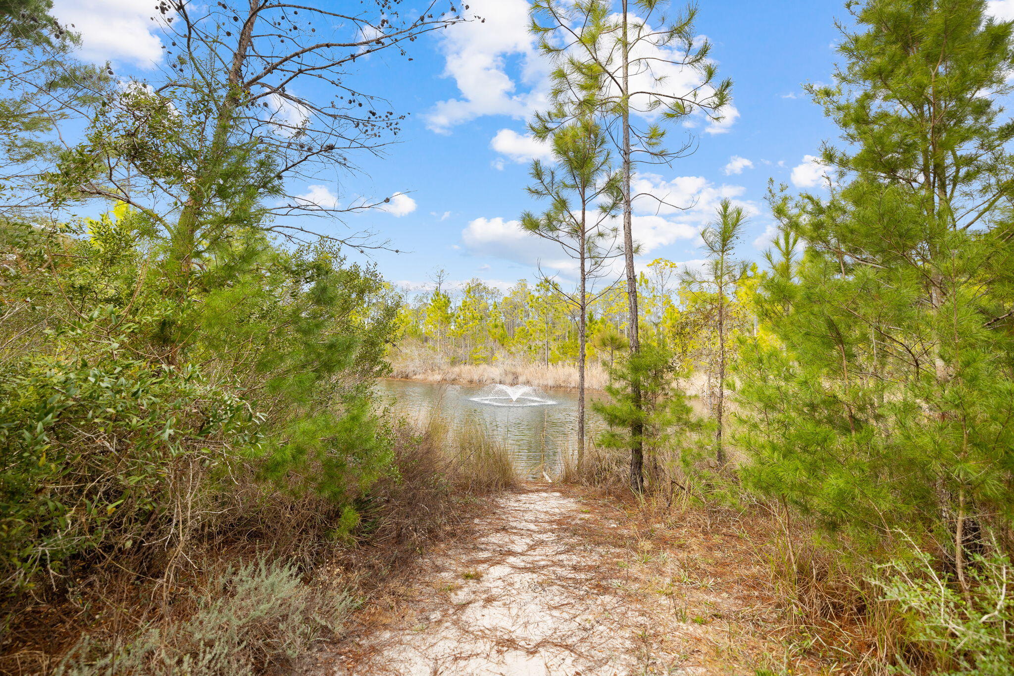 276 Gulfview Circle Santa Rosa Beach FL 32459