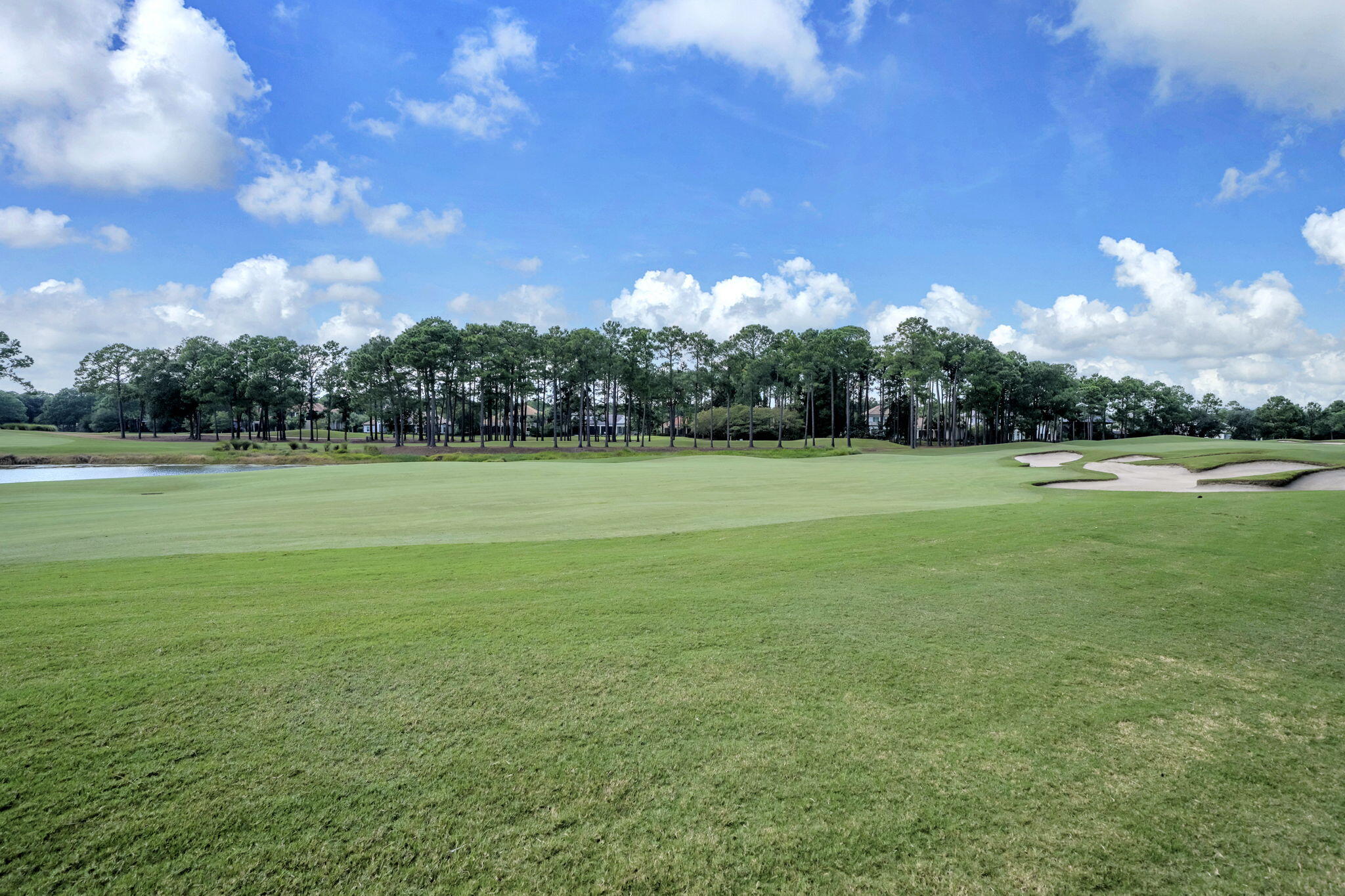 2521 Vineyard Lane Miramar Beach FL 32550