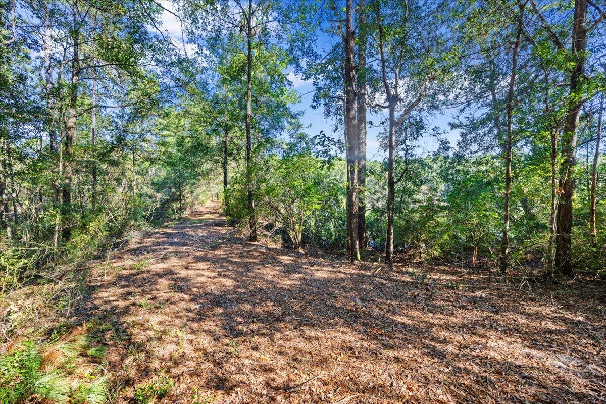 6176 Barnes Road Crestview FL 32536