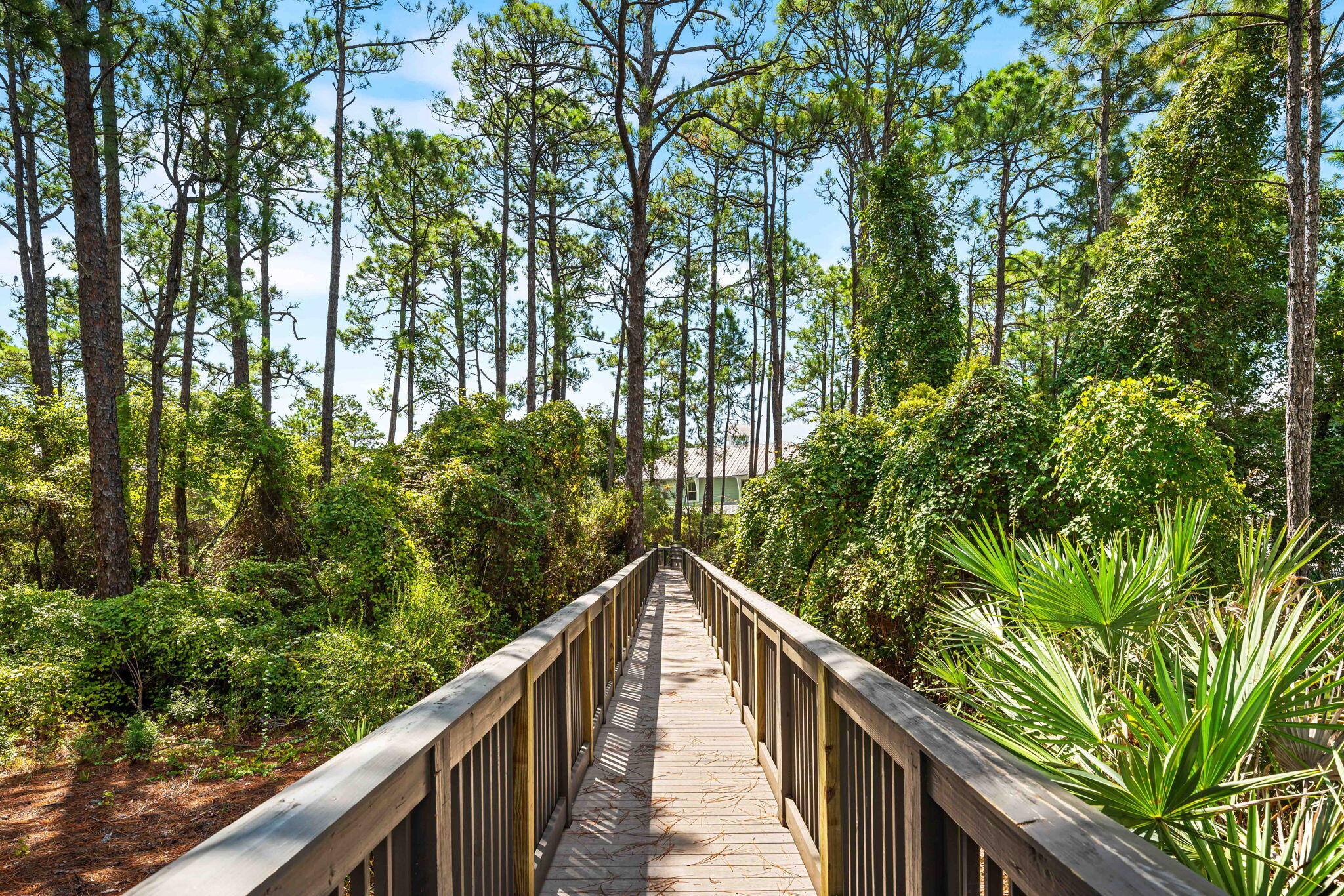 37 Eastern Lake Court Santa Rosa Beach FL 32459