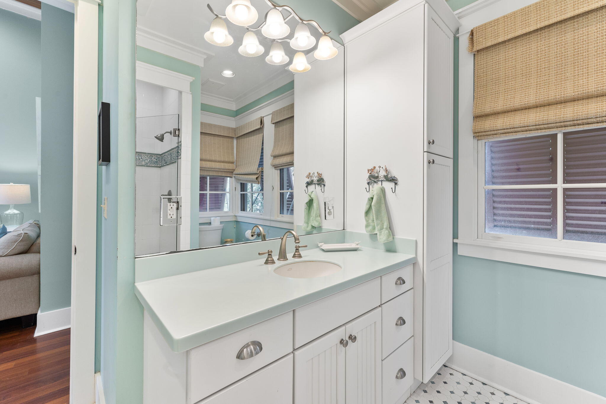 81 Western Lake Drive Santa Rosa Beach FL 32459