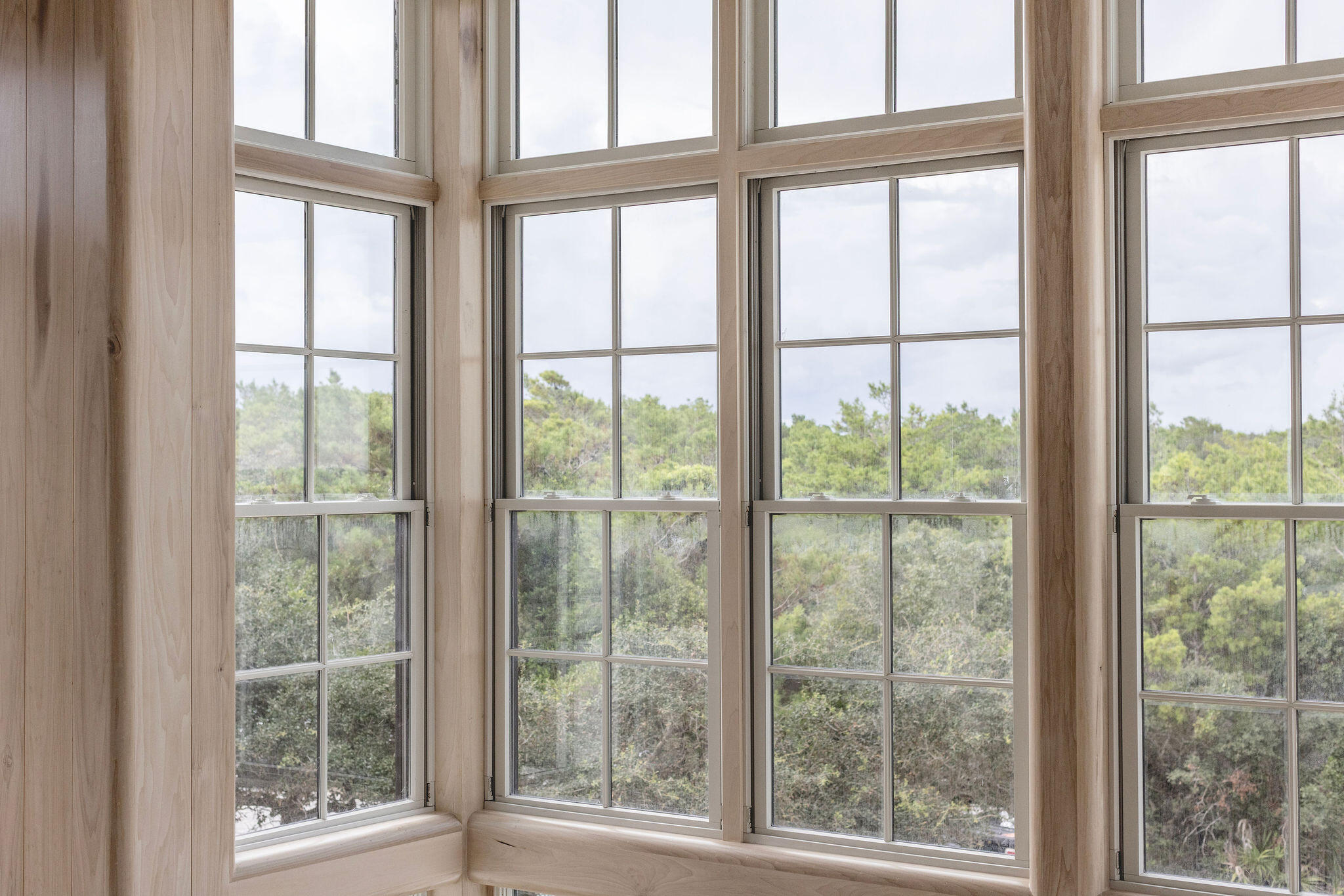 219 Walton Magnolia Lane Inlet Beach FL 32461
