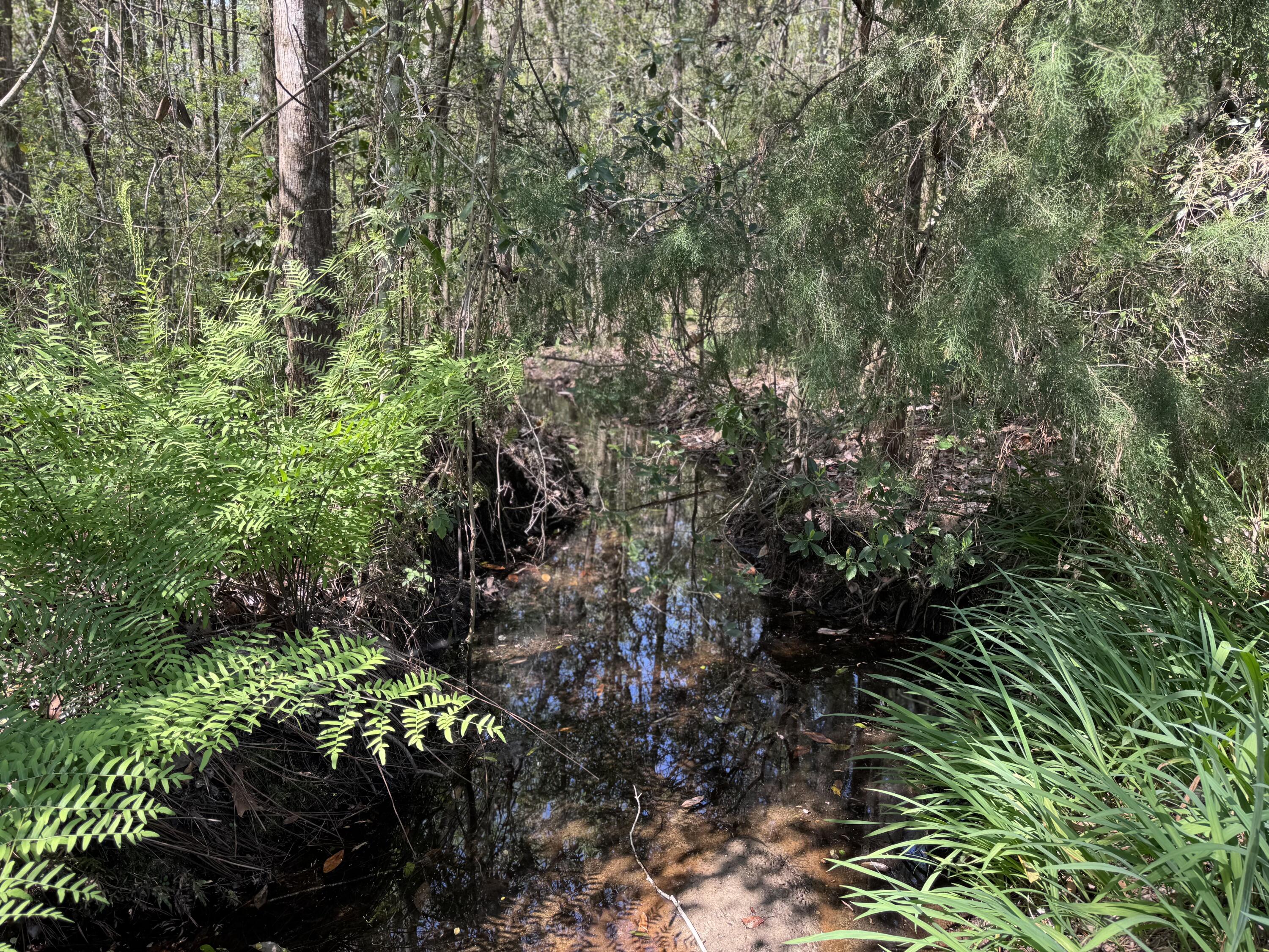 190 Meadowbrook Lane Defuniak Springs FL 32435