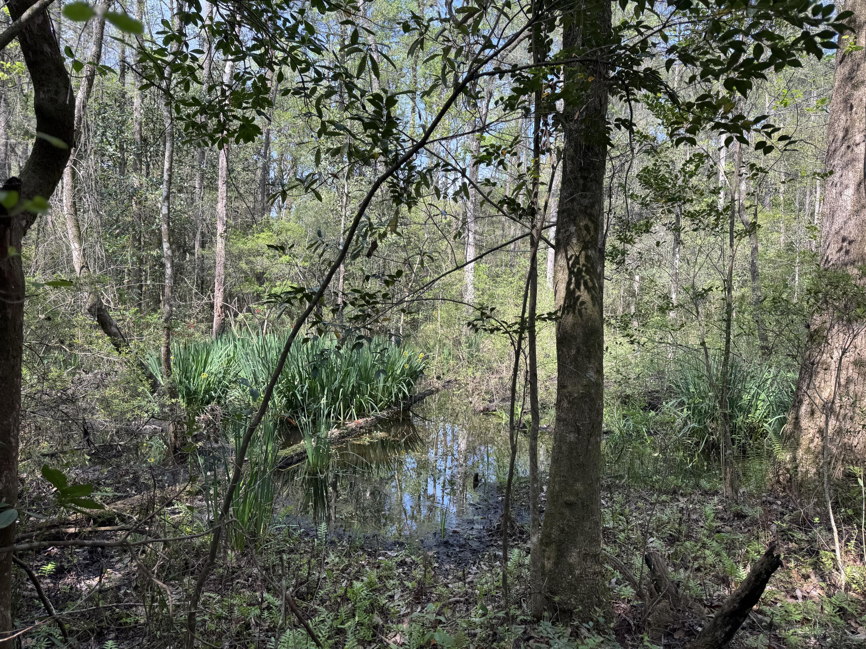 190 Meadowbrook Lane Defuniak Springs FL 32435
