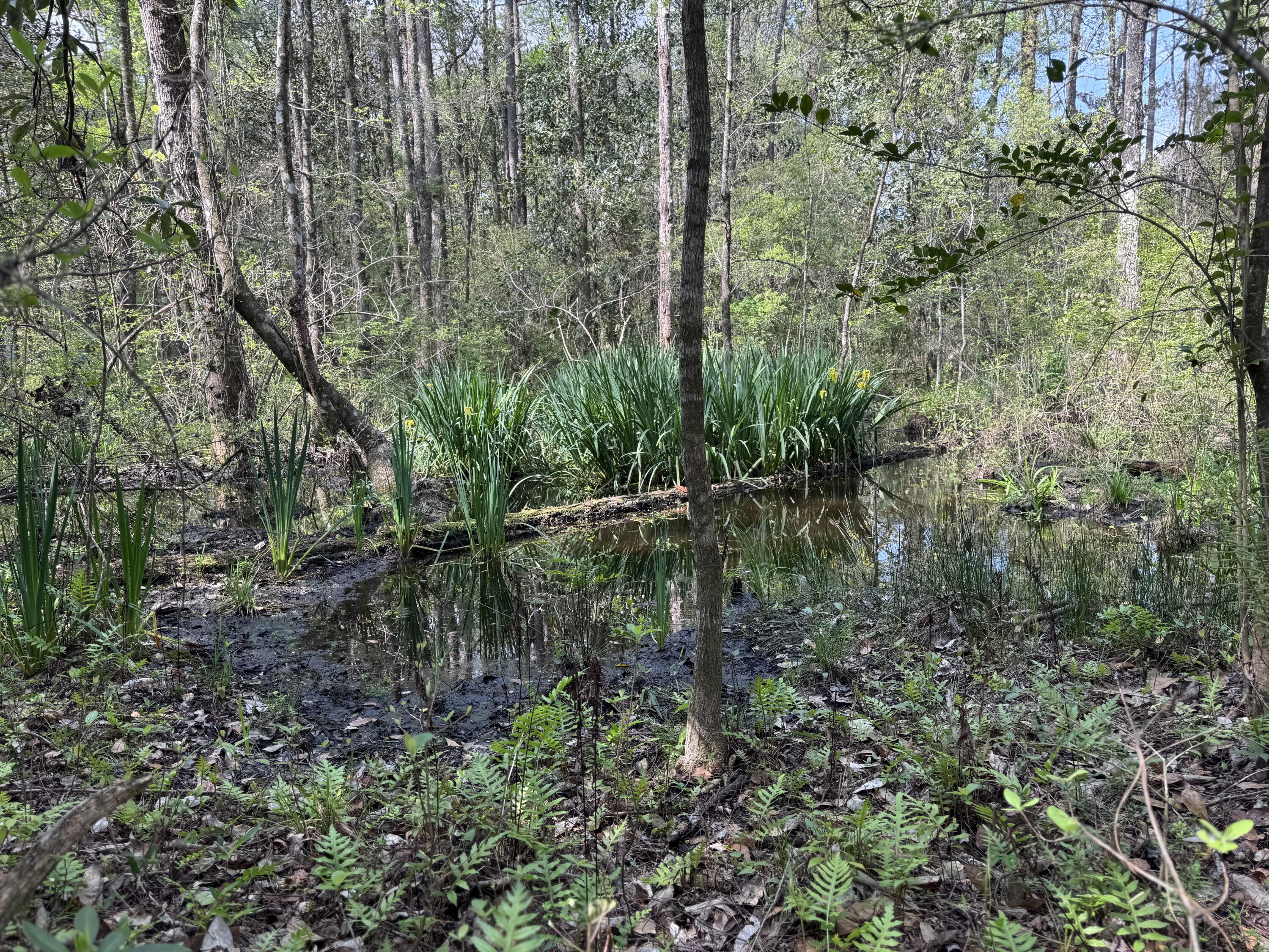 190 Meadowbrook Lane Defuniak Springs FL 32435