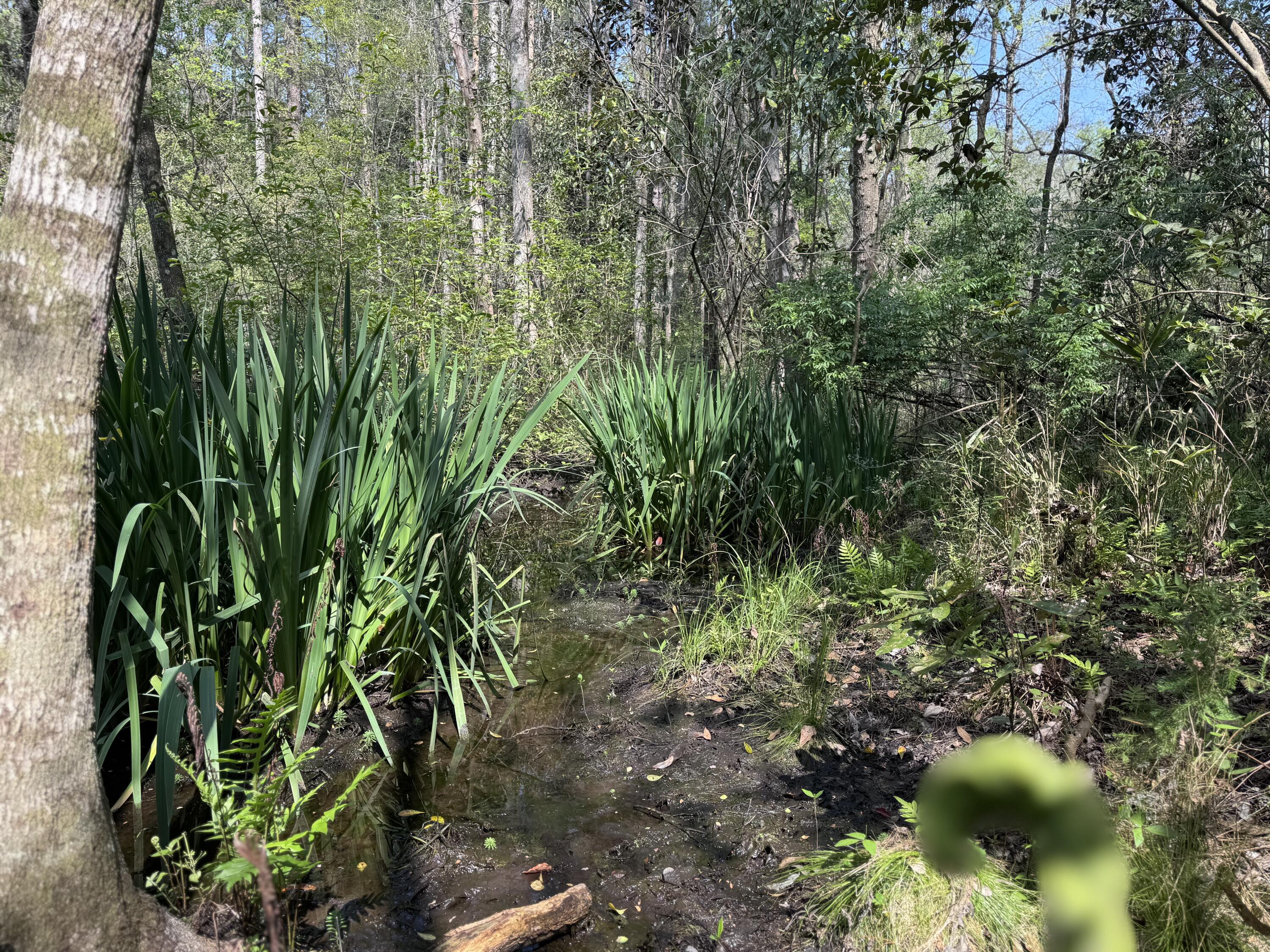 190 Meadowbrook Lane Defuniak Springs FL 32435