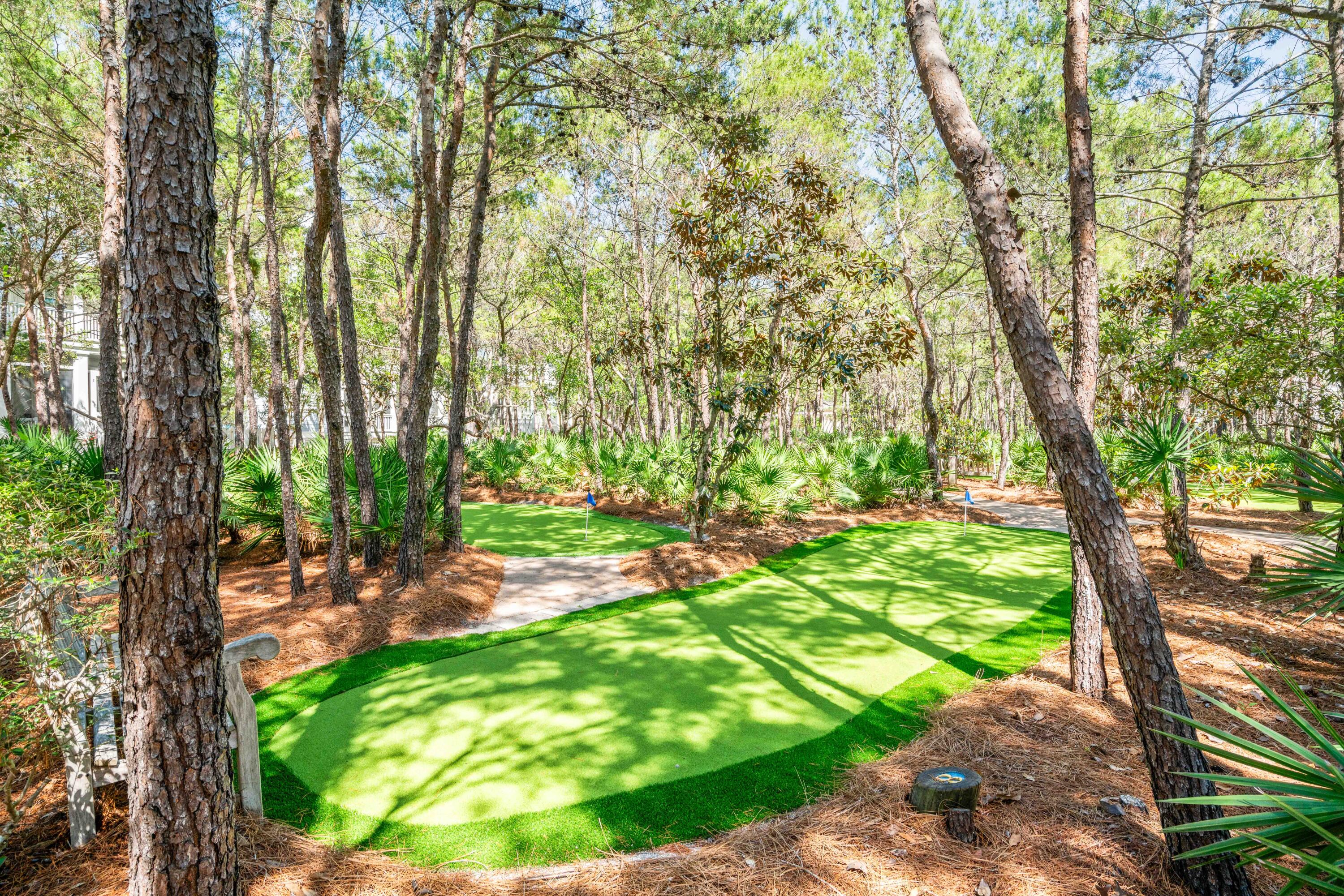 148 Coopersmith Lane Inlet Beach FL 32461