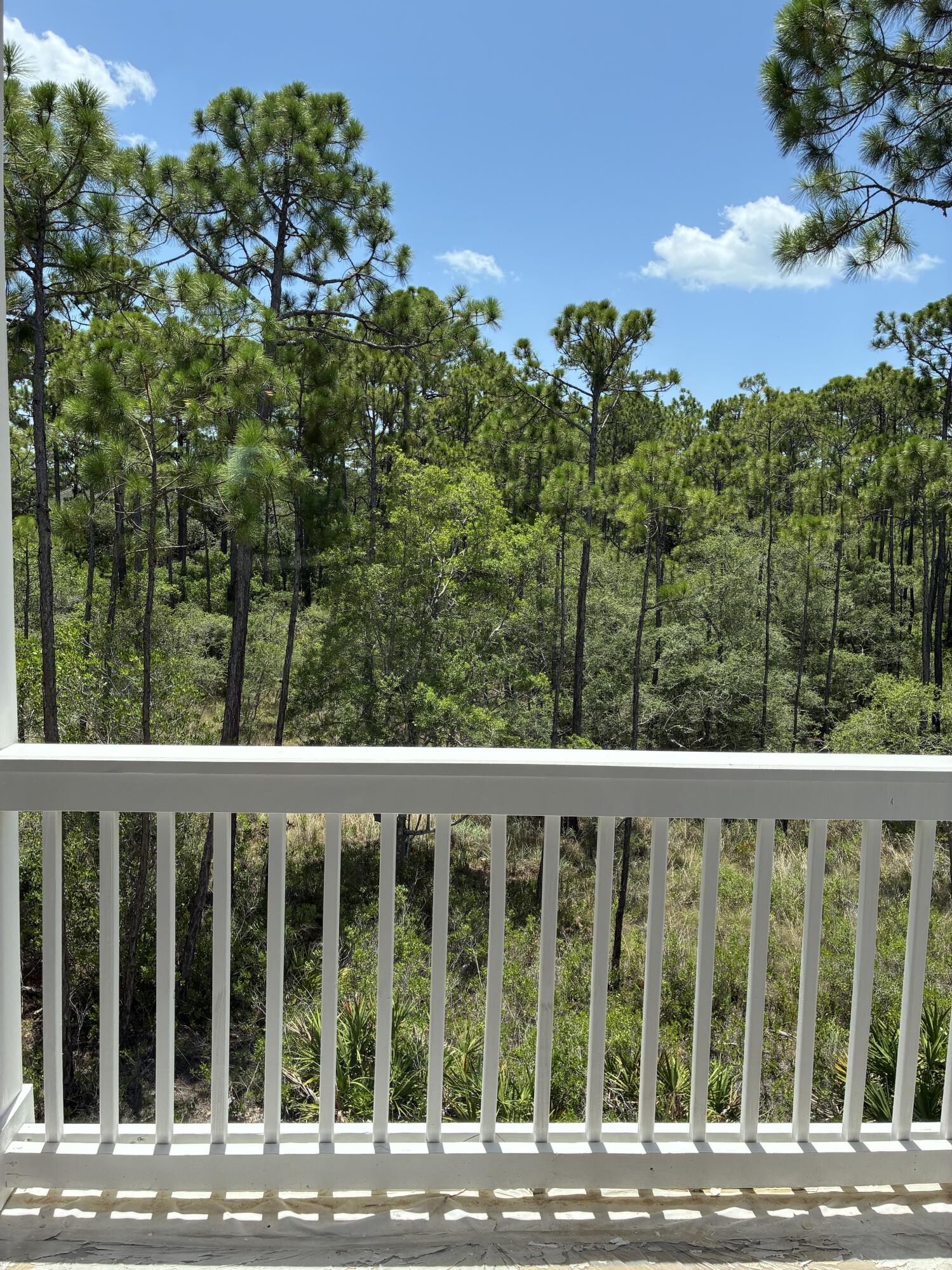 235 Ashwood Drive Santa Rosa Beach FL 32459