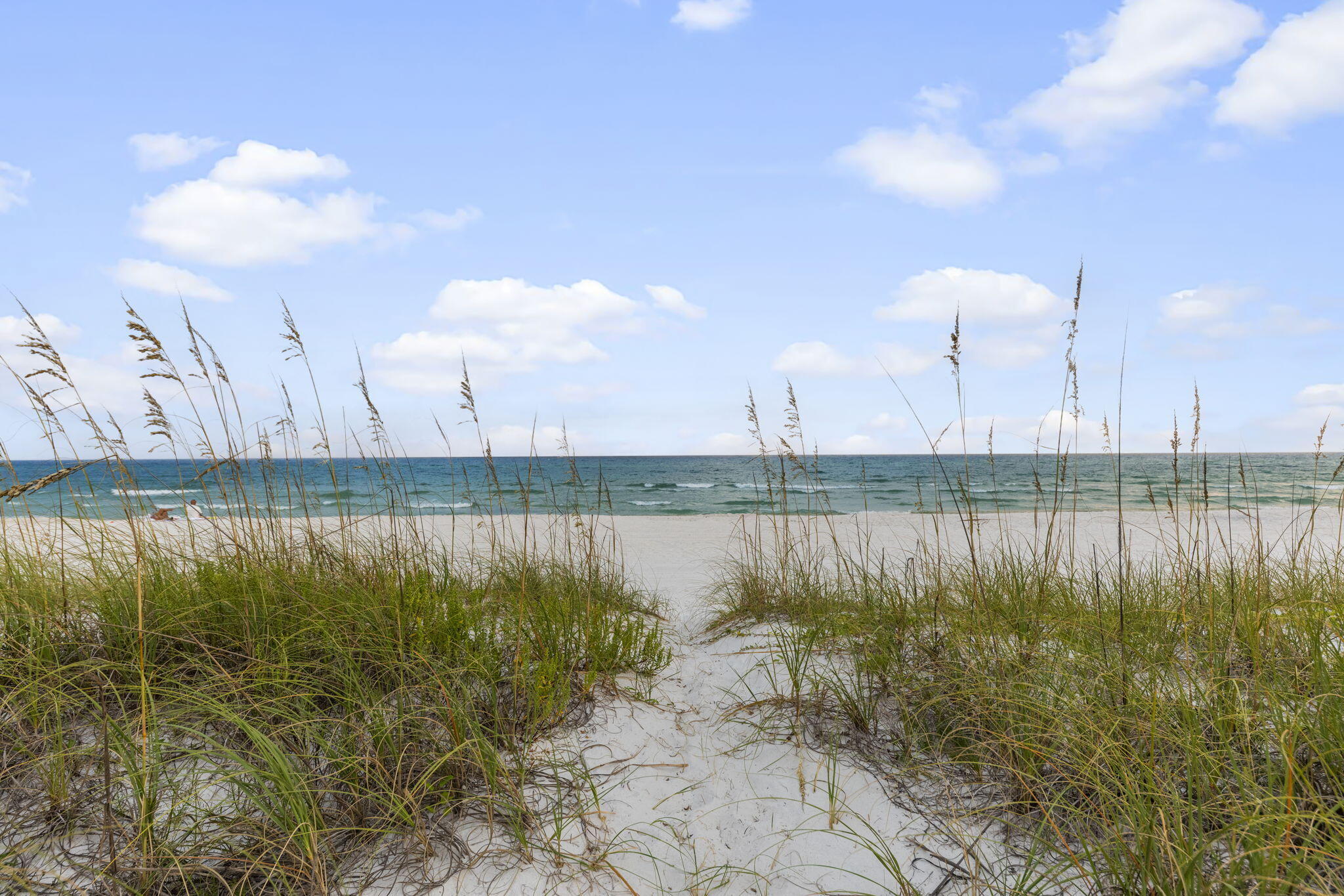 169 Pompano Street Inlet Beach FL 32461
