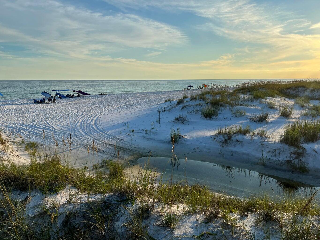 151 Botany Boulevard Santa Rosa Beach FL 32459