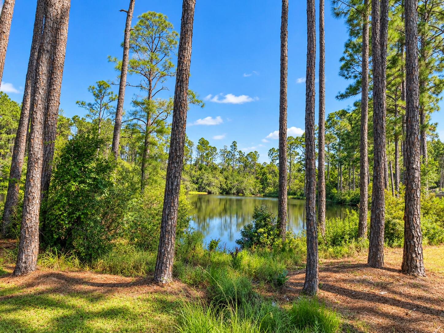 19 Sugar Sands Drive Santa Rosa Beach FL 32459