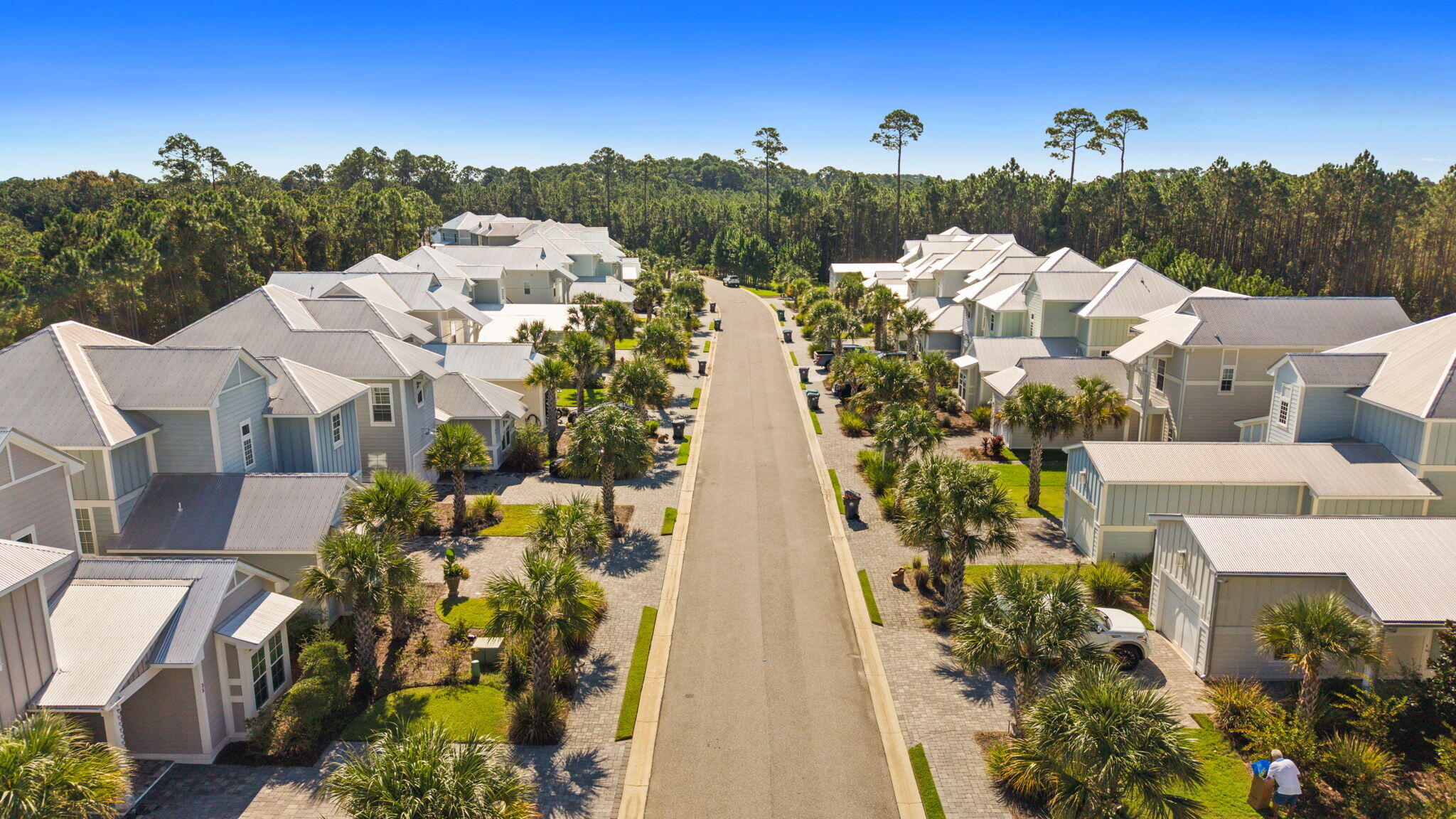 19 Sugar Sands Drive Santa Rosa Beach FL 32459