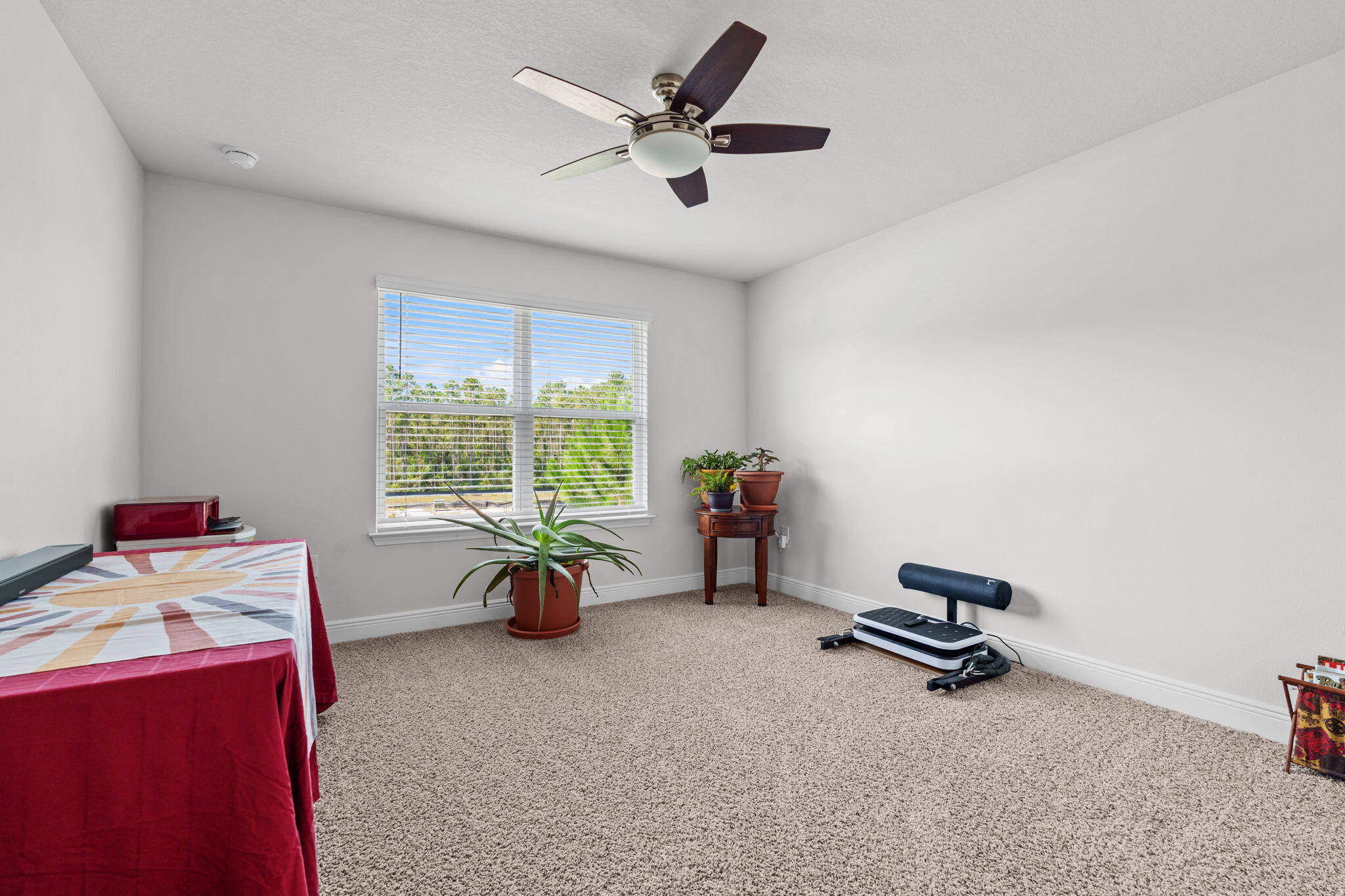 260 Southern Pines Road Santa Rosa Beach FL 32459
