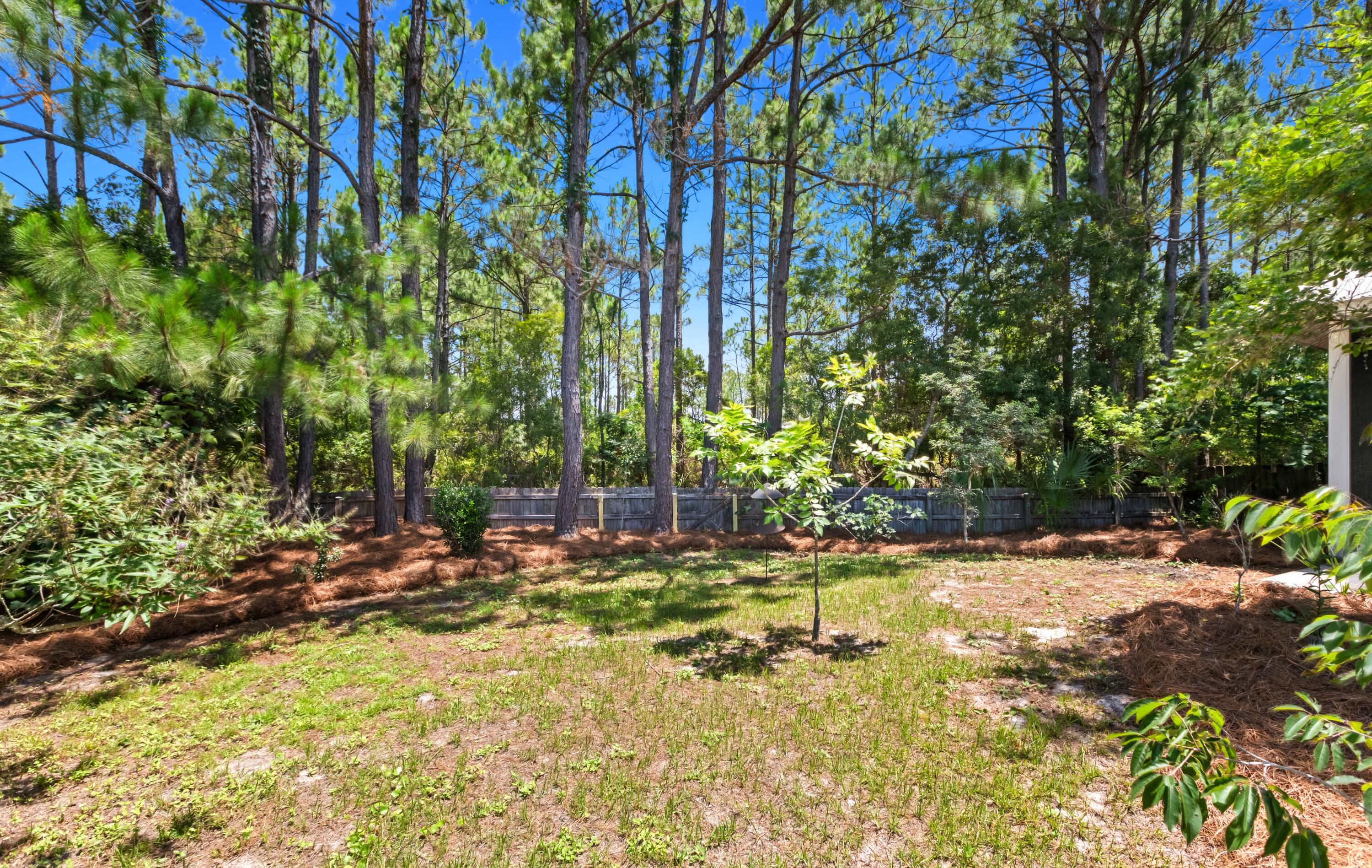 131 White Heron Drive Santa Rosa Beach FL 32459