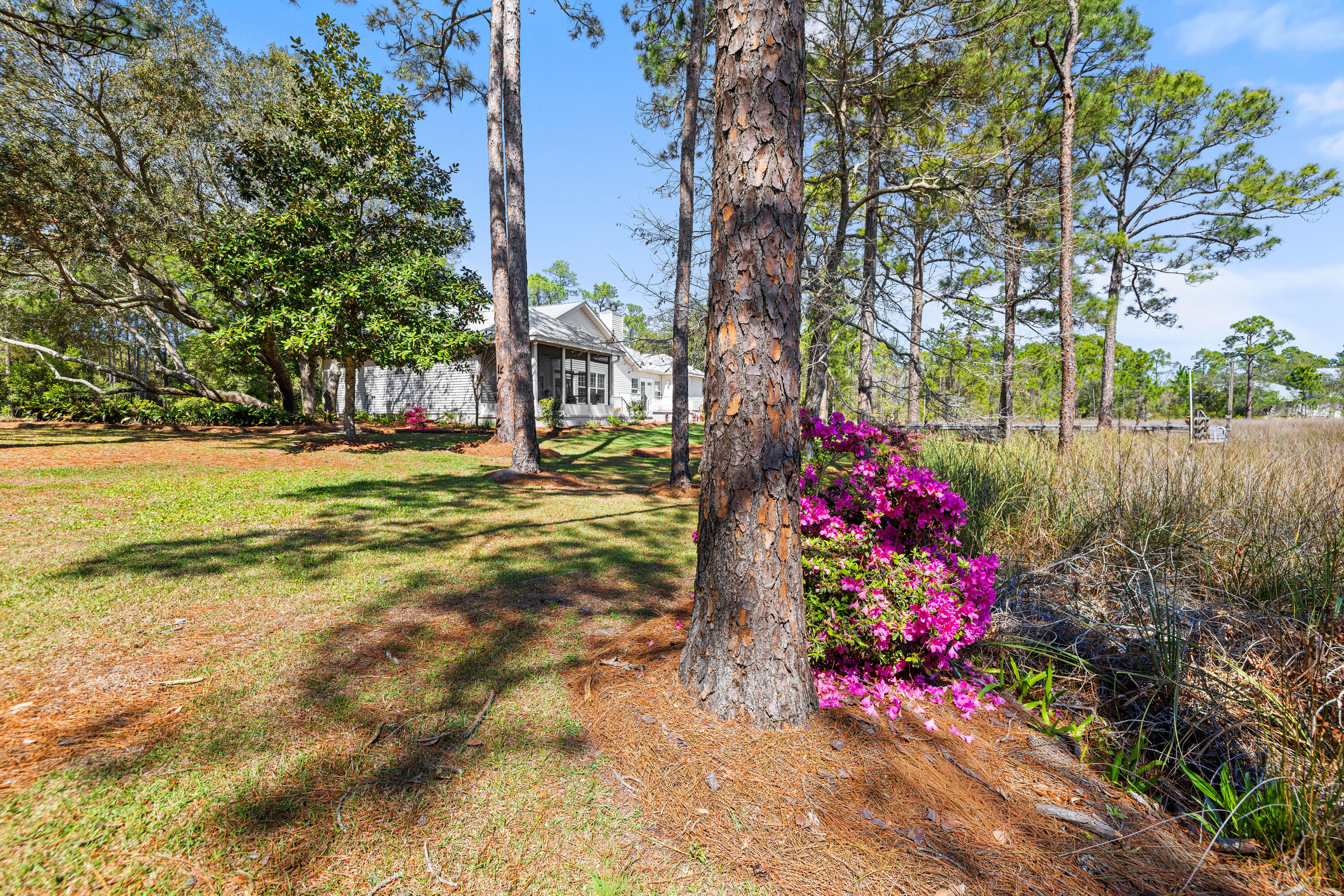252 Pisces Drive Santa Rosa Beach FL 32459