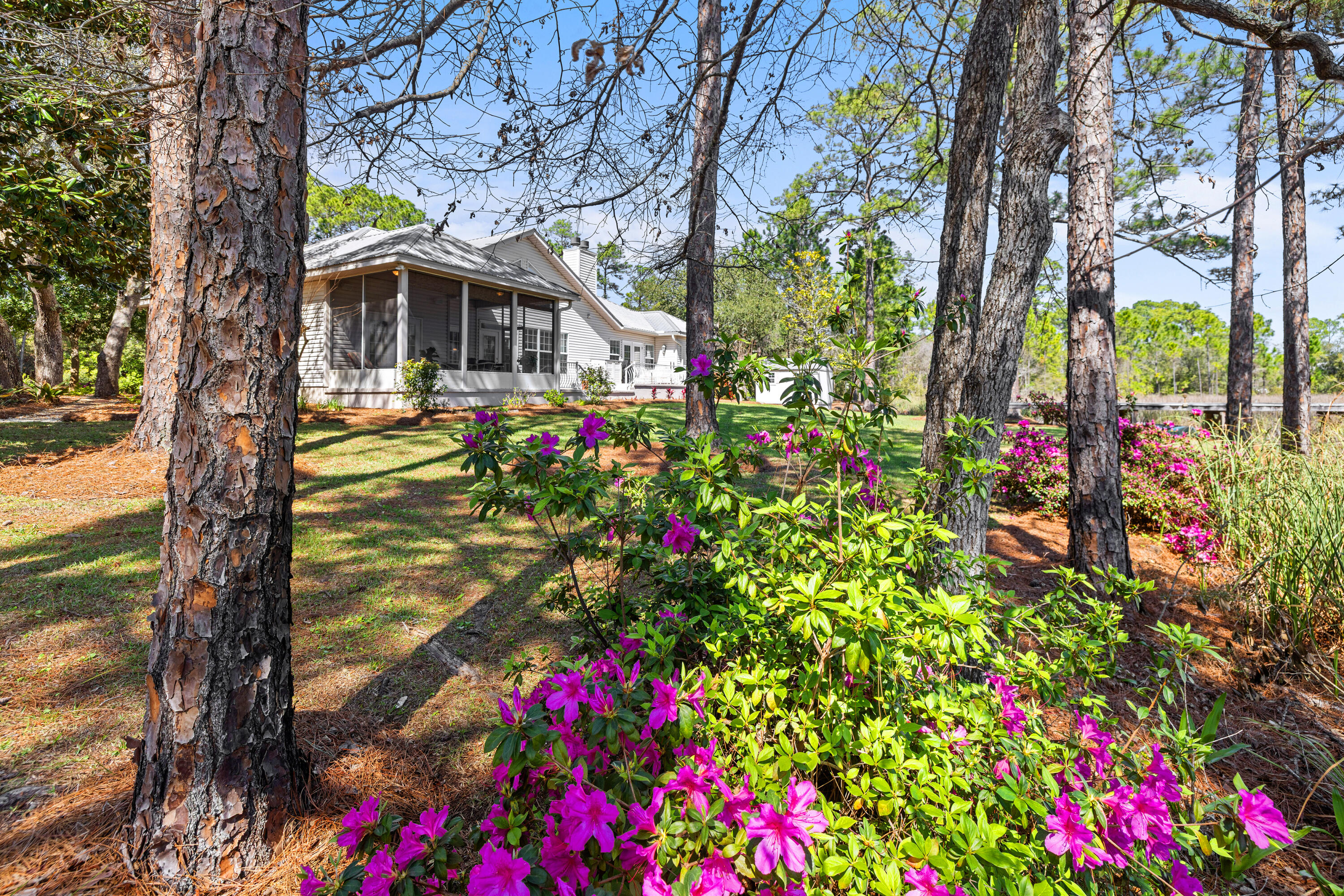252 Pisces Drive Santa Rosa Beach FL 32459