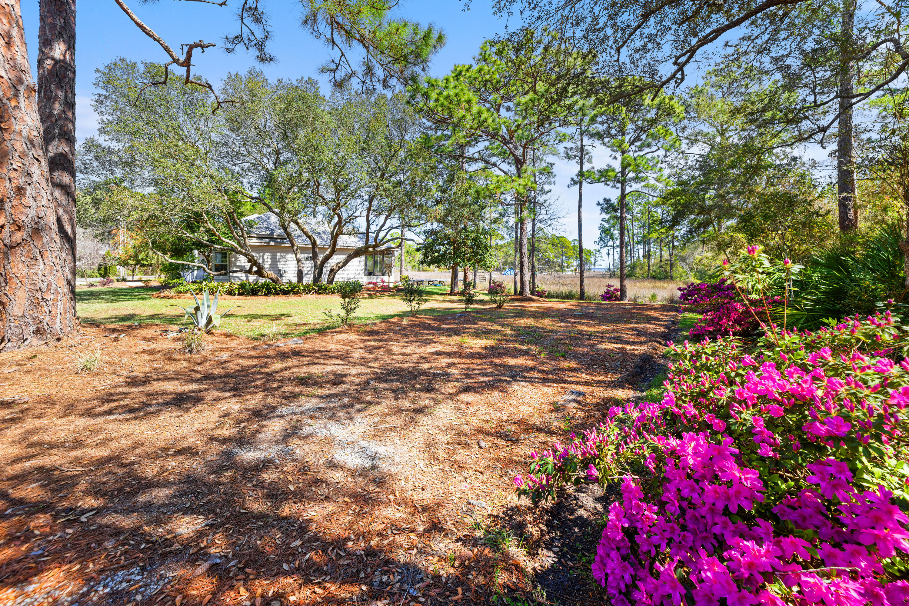 252 Pisces Drive Santa Rosa Beach FL 32459