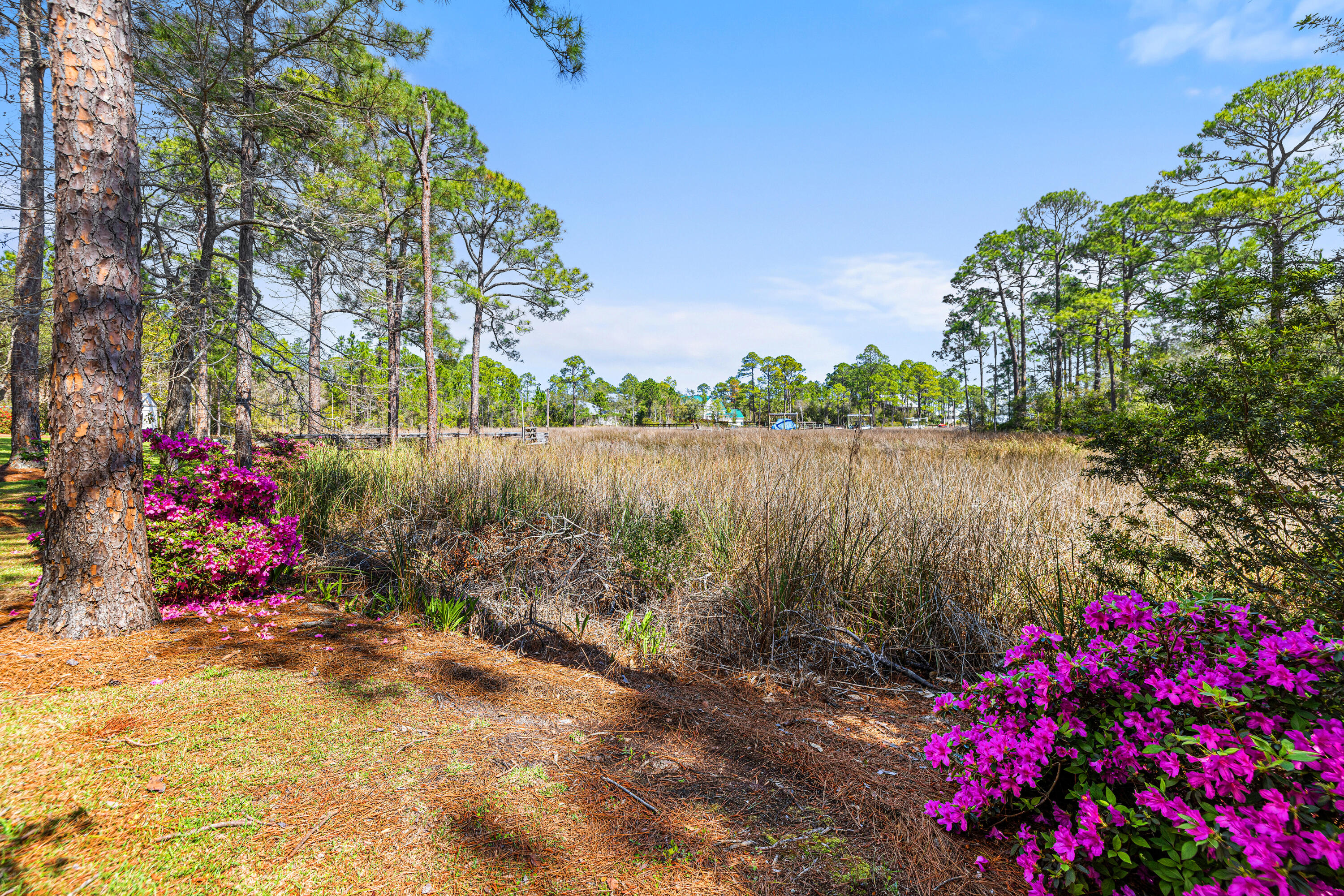 252 Pisces Drive Santa Rosa Beach FL 32459