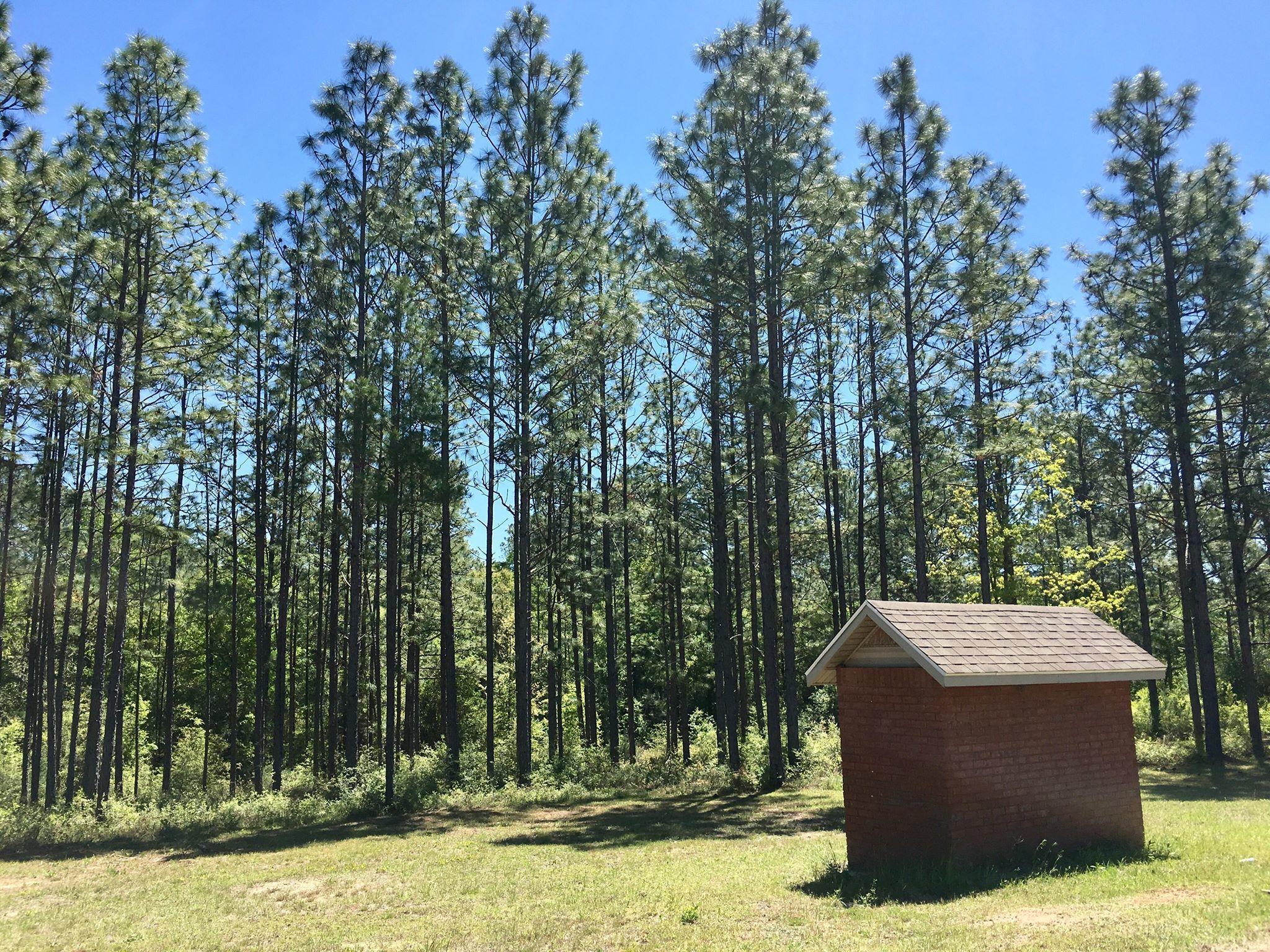 6051 Tupelo Street Crestview FL 32539