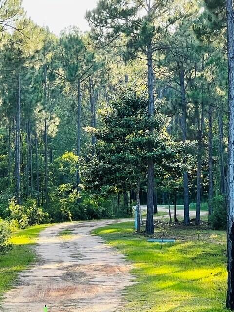 632 N Church Street Santa Rosa Beach FL 32459