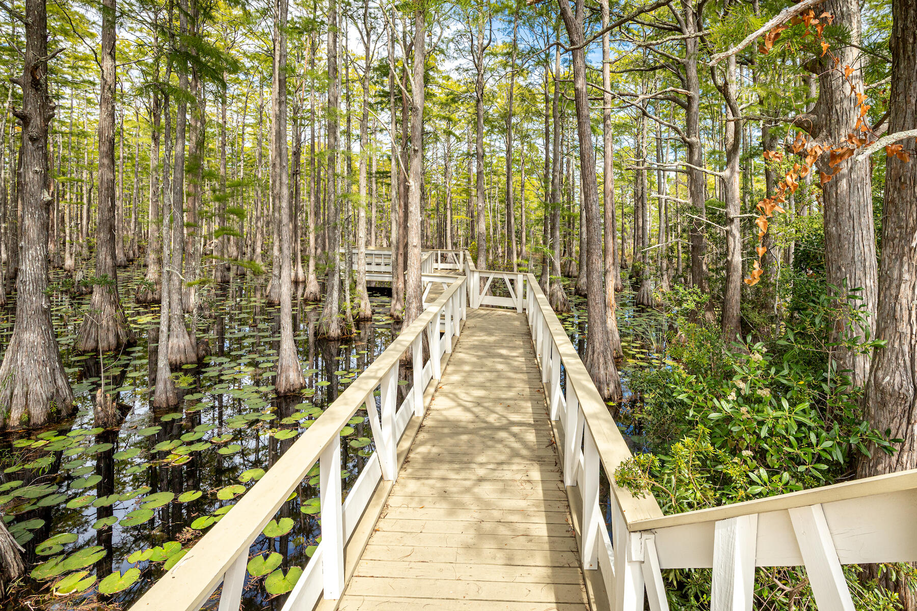388 Cypress Drive Santa Rosa Beach FL 32459