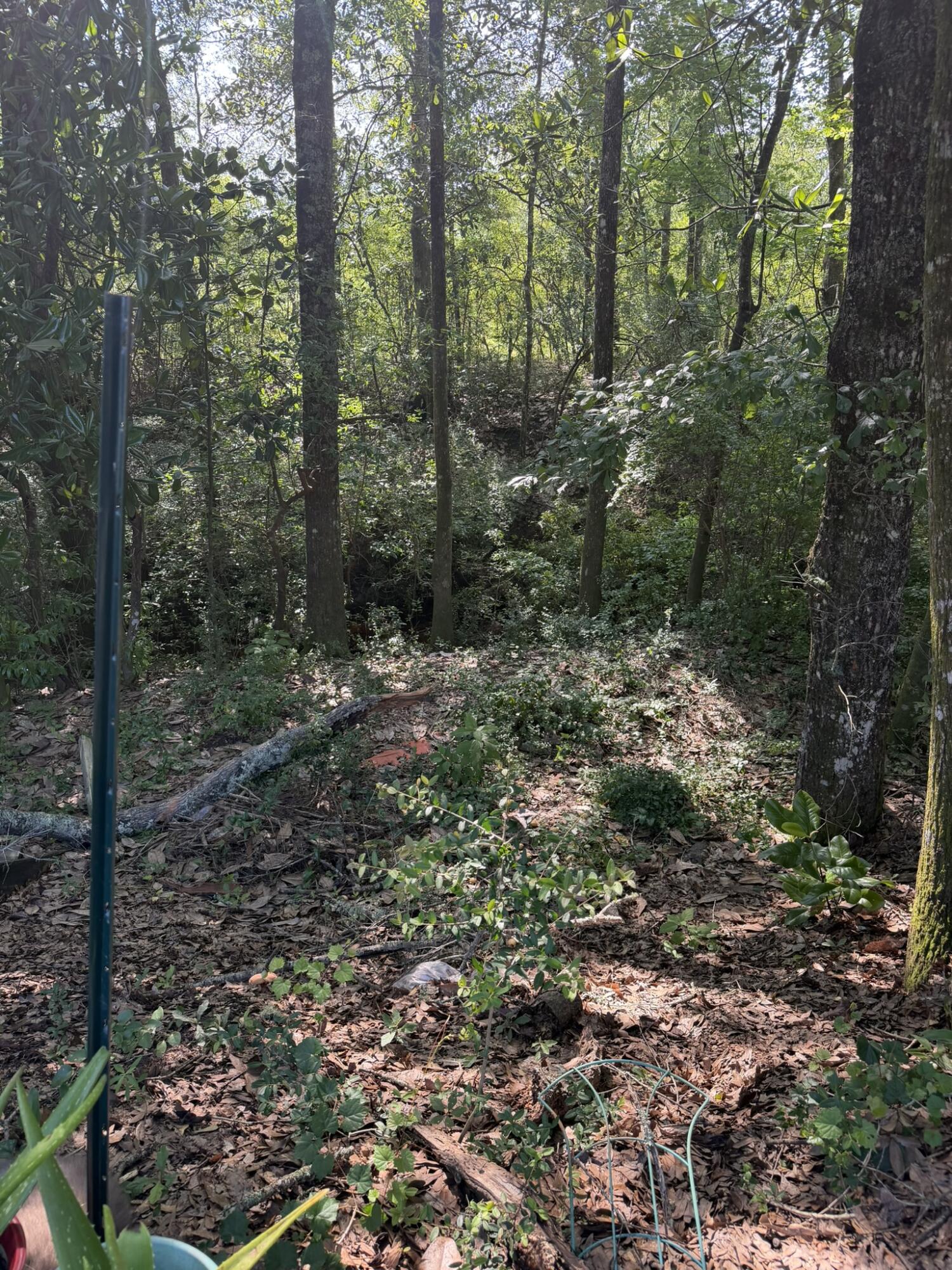 5515 E Co Highway 181 Westville FL 32464