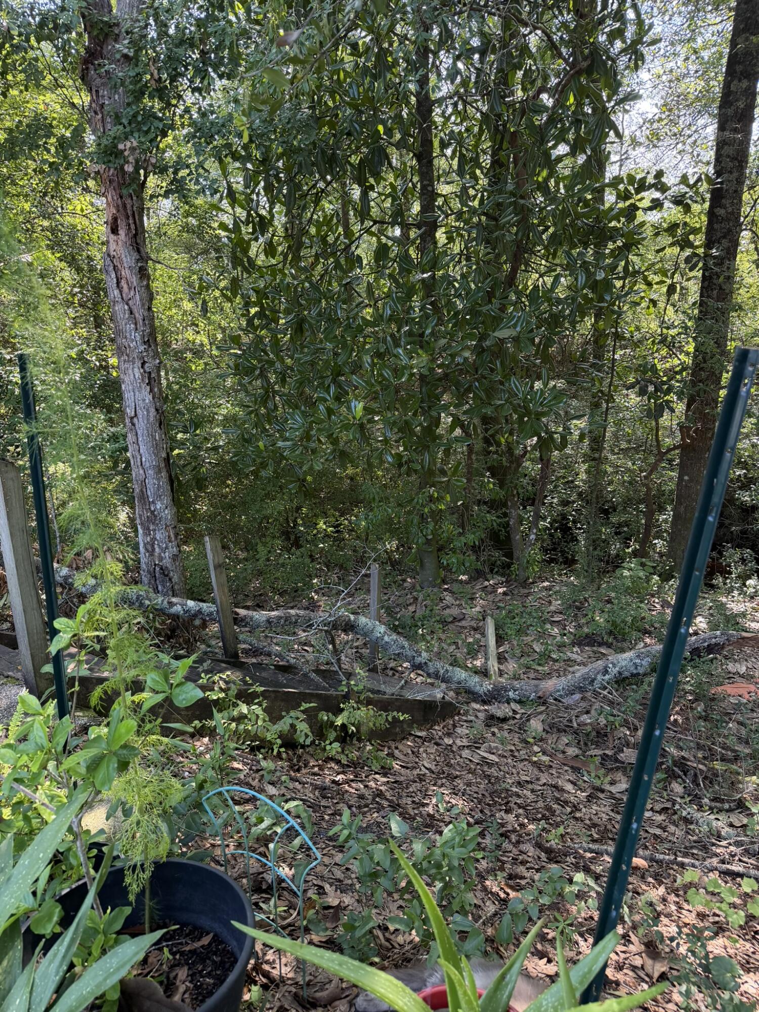5515 E Co Highway 181 Westville FL 32464