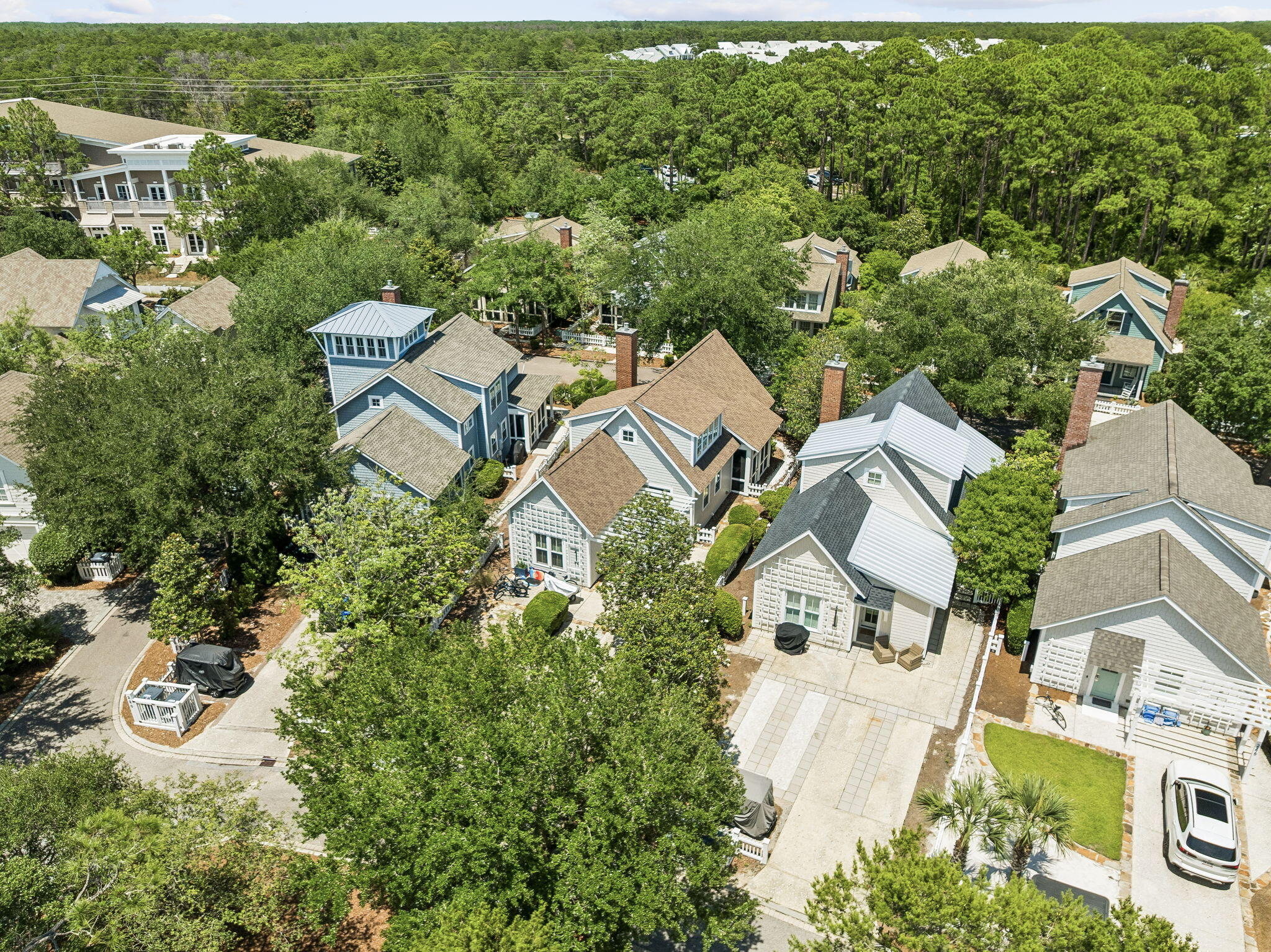 230 Salt Box Lane Inlet Beach FL 32461