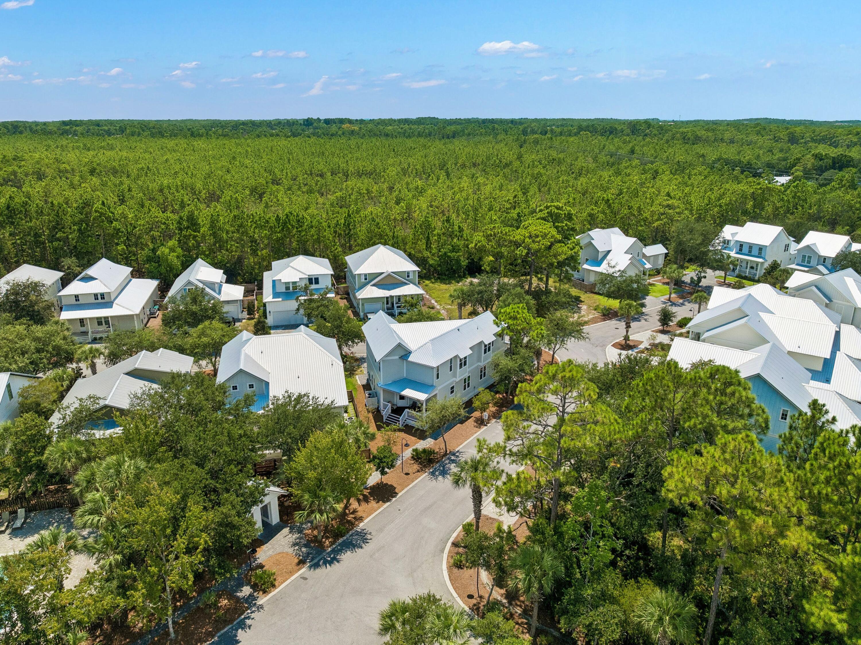 93 Marlberry Trace Santa Rosa Beach FL 32459